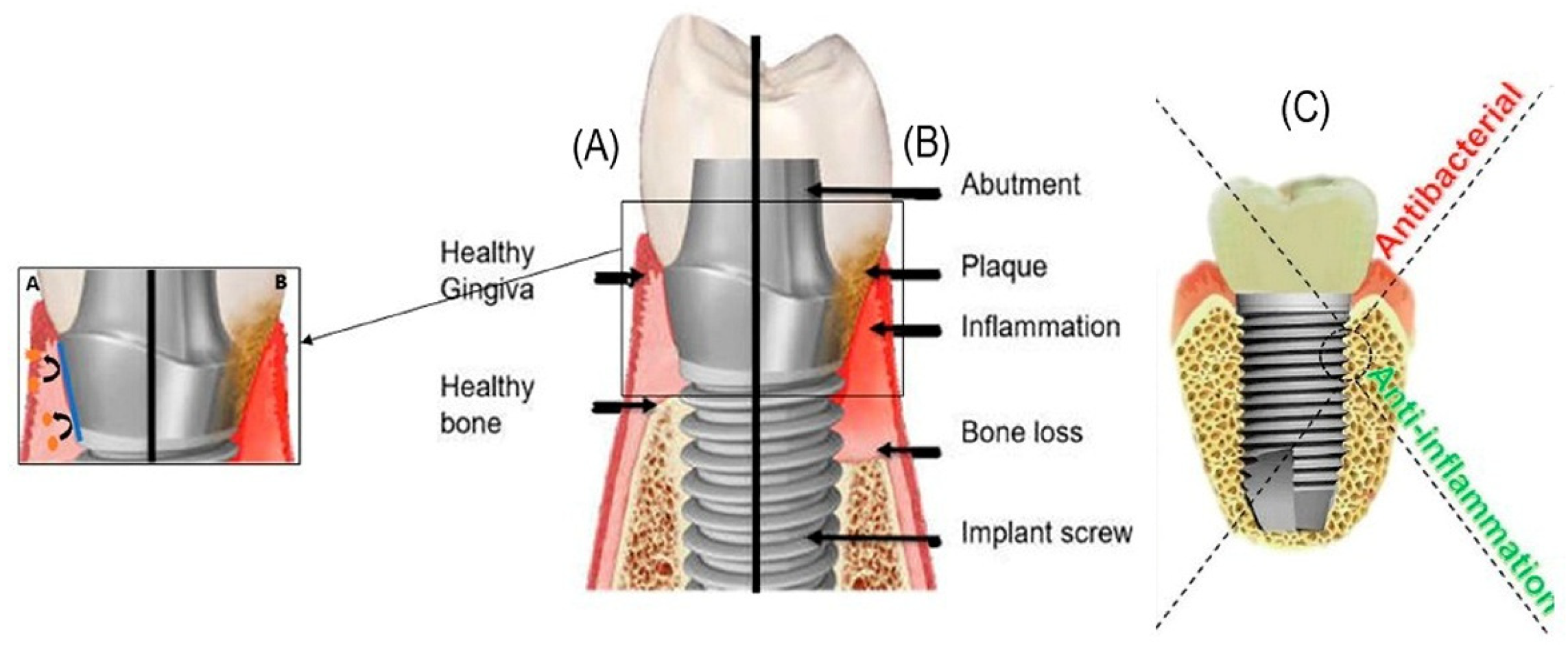 Marinedrugs 23 00321 g002