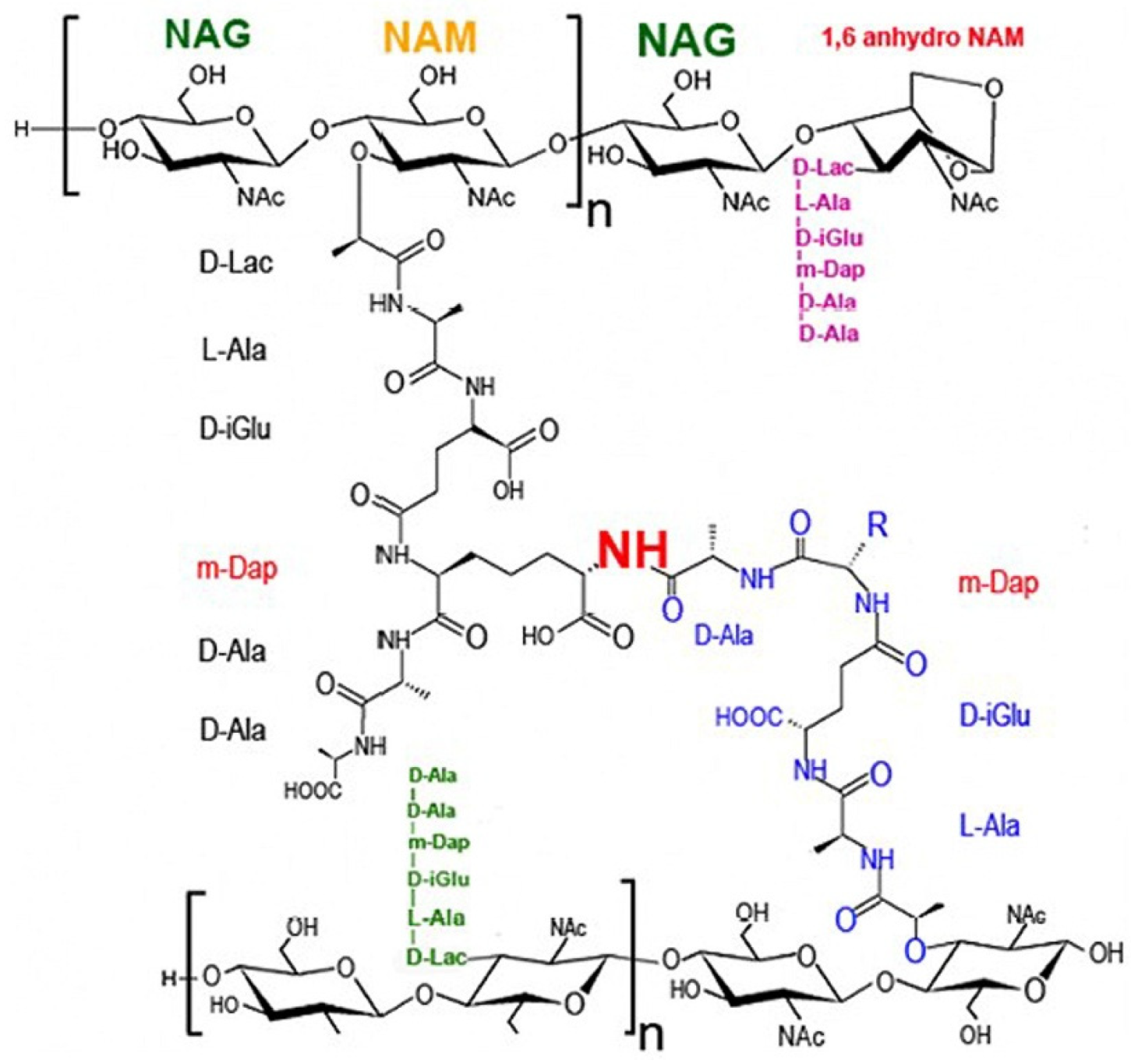 Marinedrugs 23 00321 g004