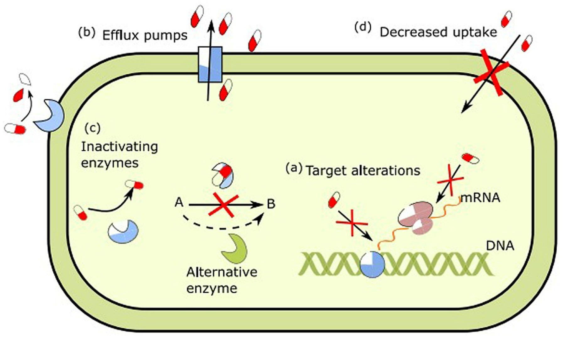 Marinedrugs 23 00321 g006