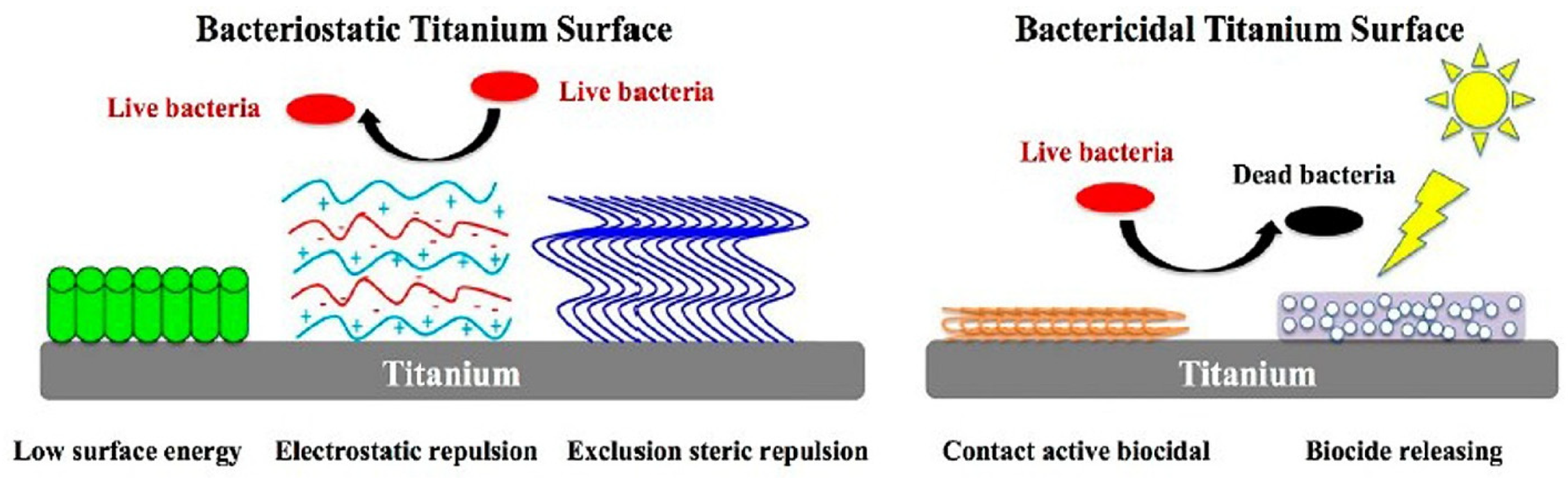 Marinedrugs 23 00321 g008