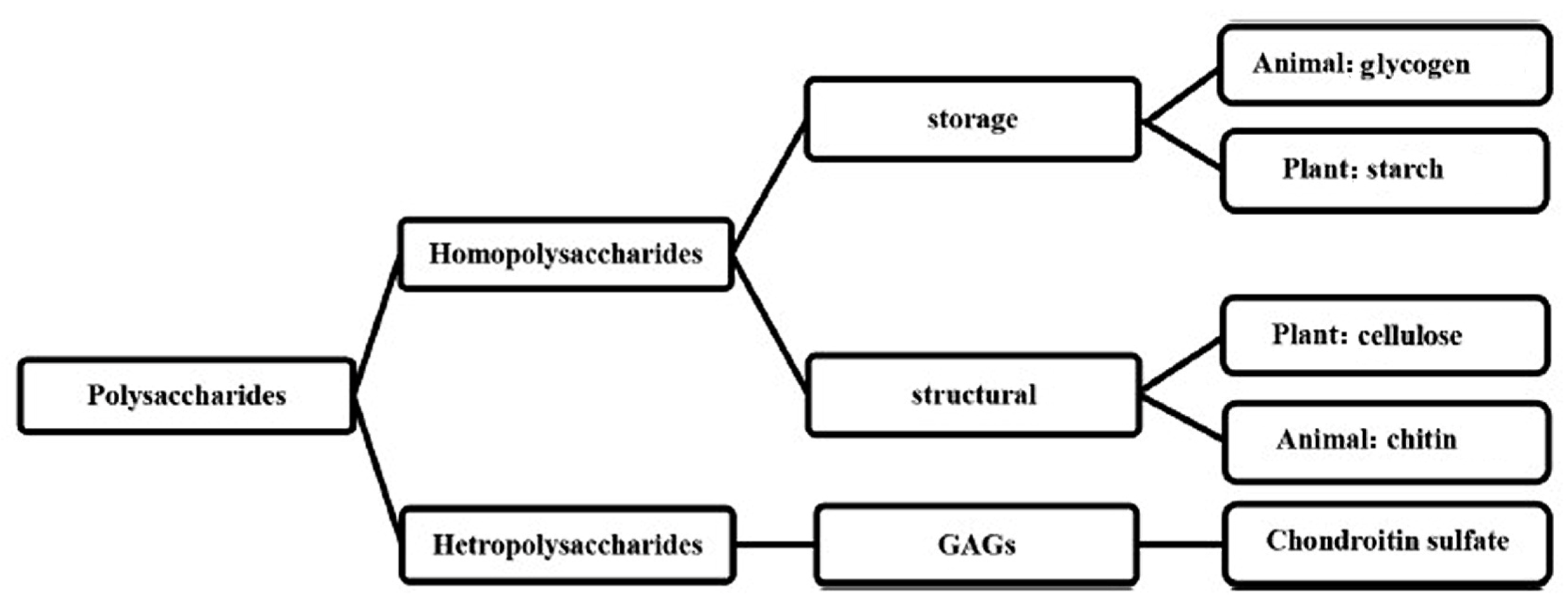 Marinedrugs 23 00321 g012