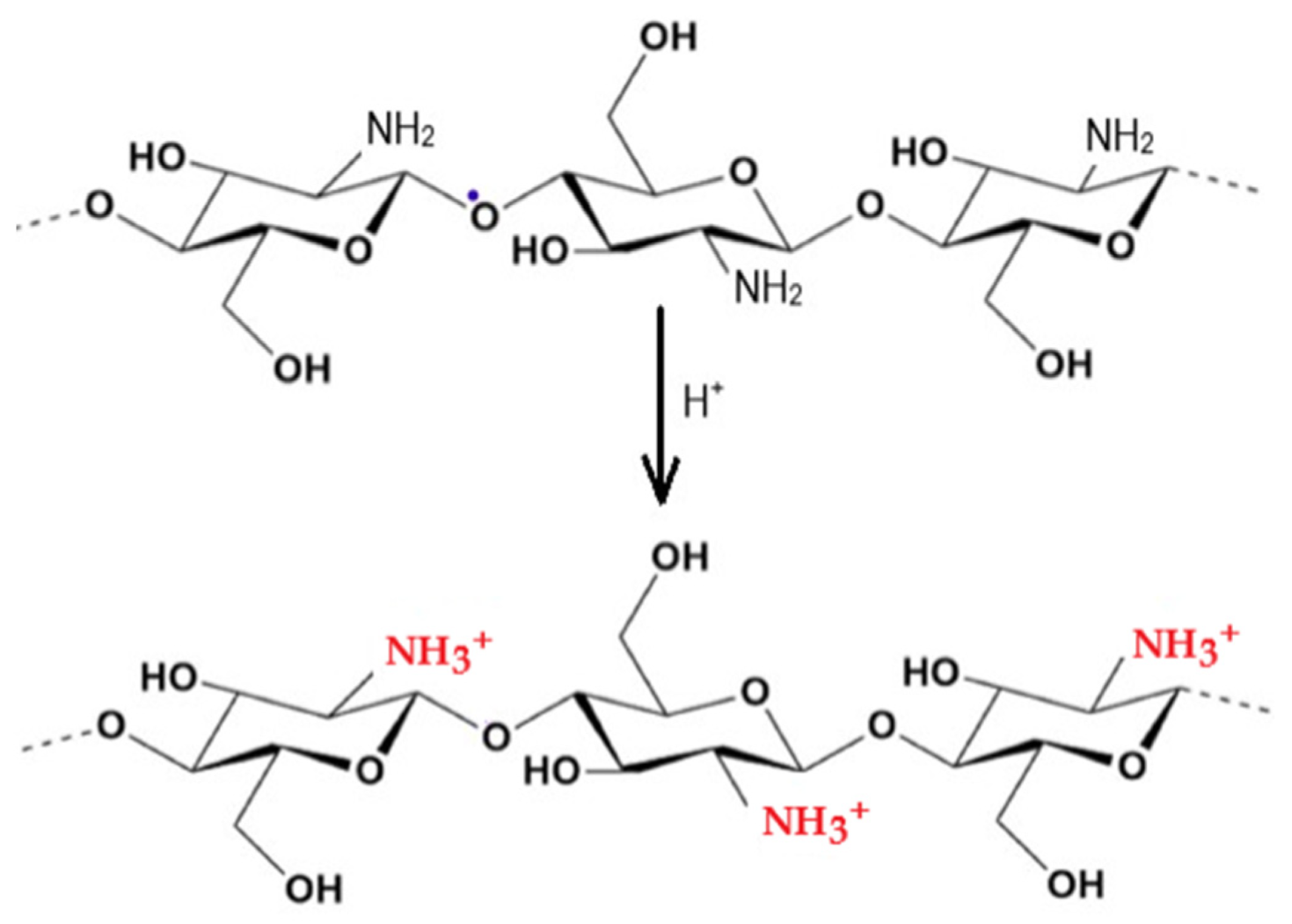 Marinedrugs 23 00321 g015