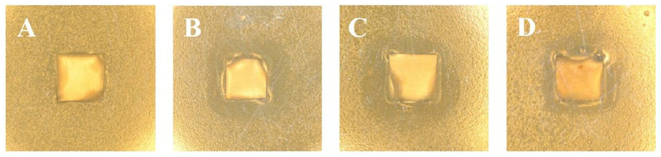 Marinedrugs 23 00321 g021