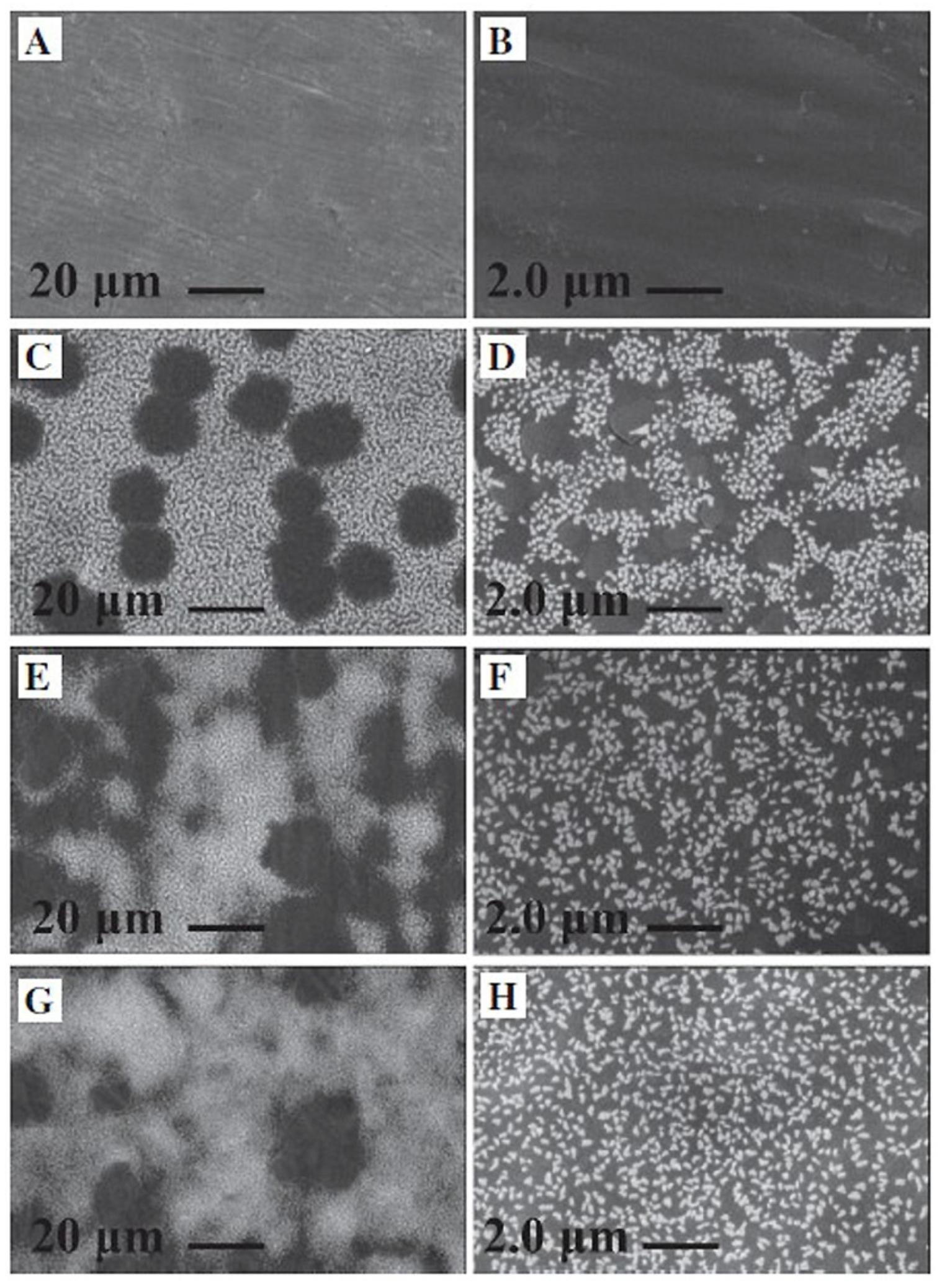 Marinedrugs 23 00321 g023