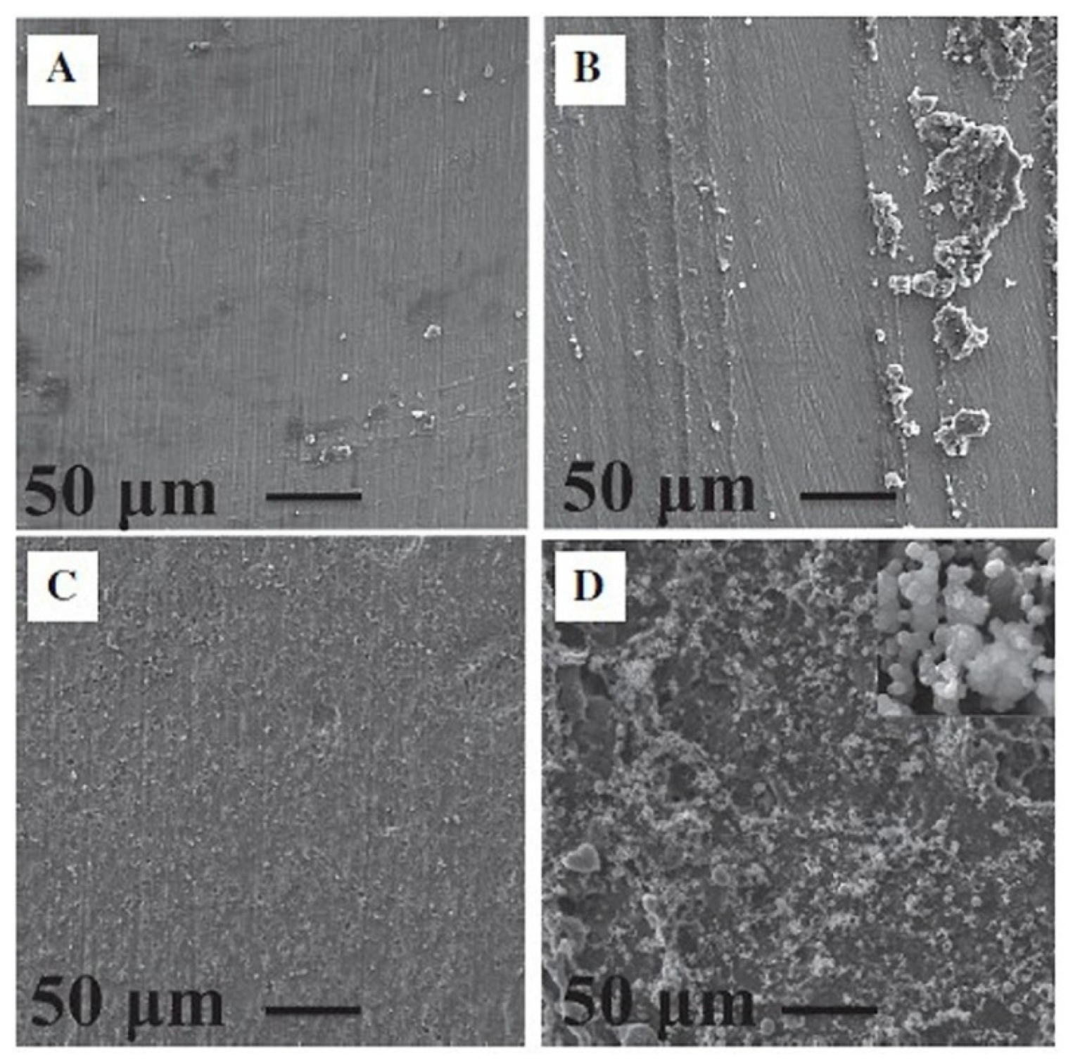 Marinedrugs 23 00321 g024