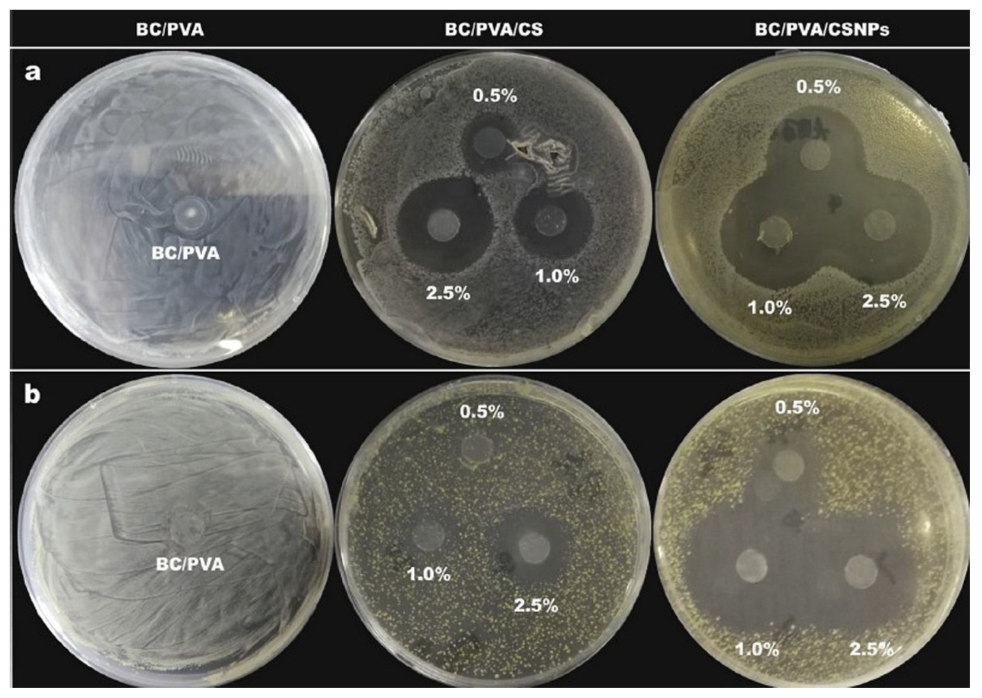 Marinedrugs 23 00321 g025