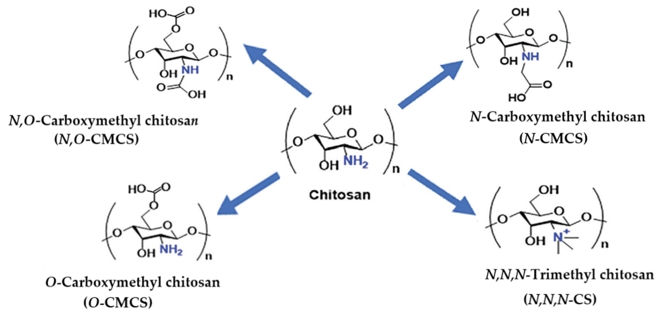 Marinedrugs 23 00321 g026