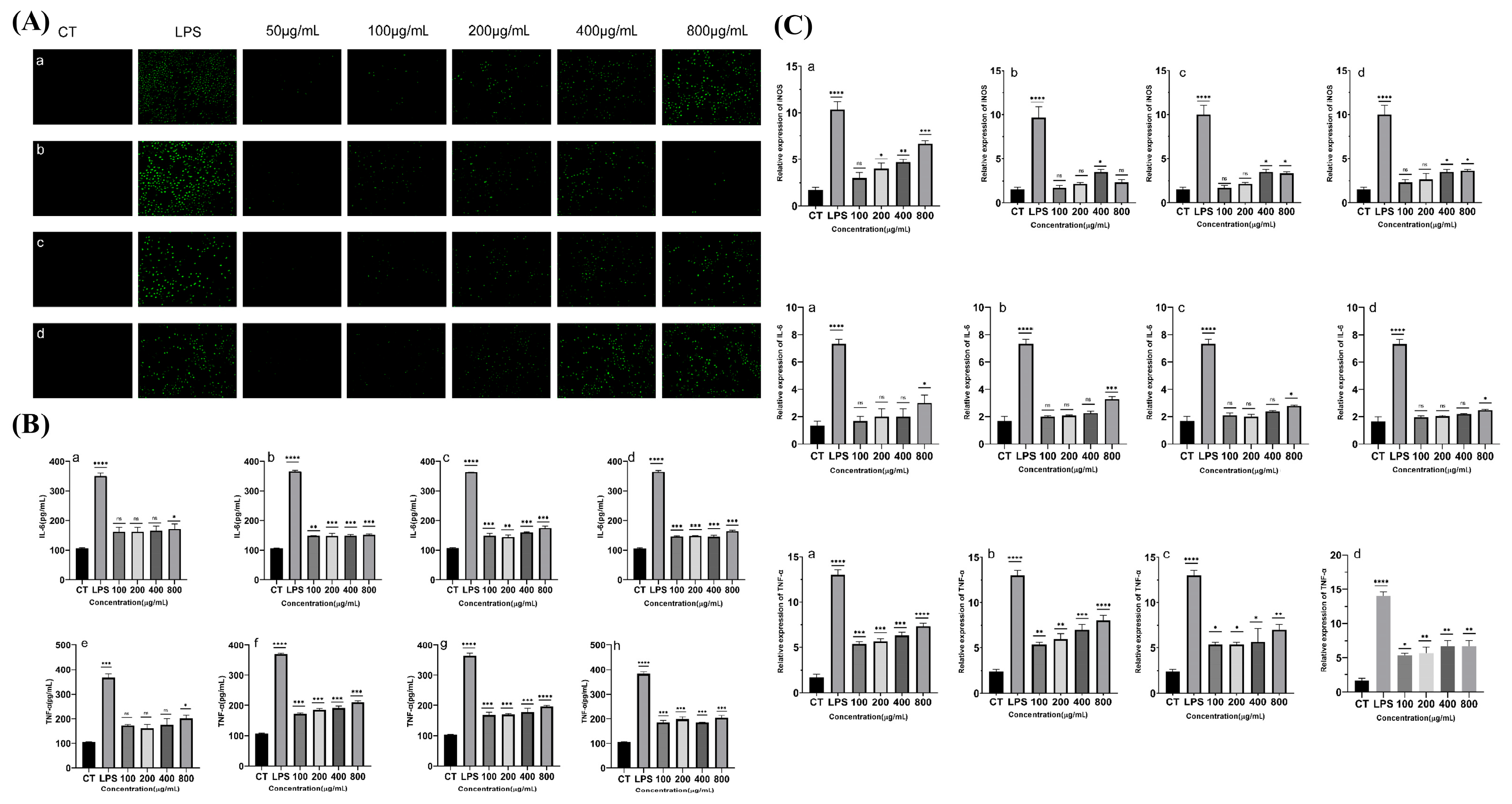 Marinedrugs 23 00326 g006
