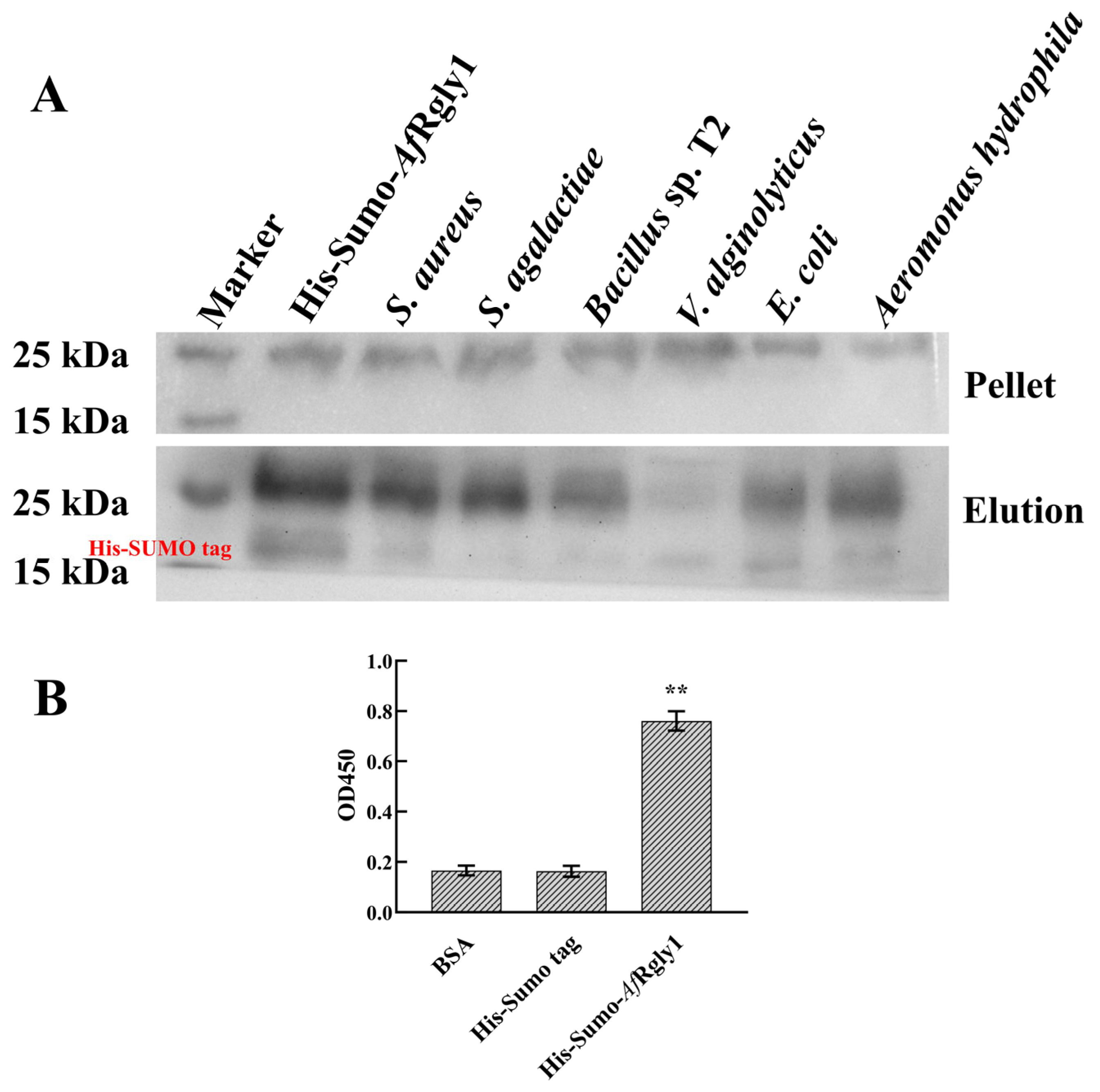Marinedrugs 23 00330 g004