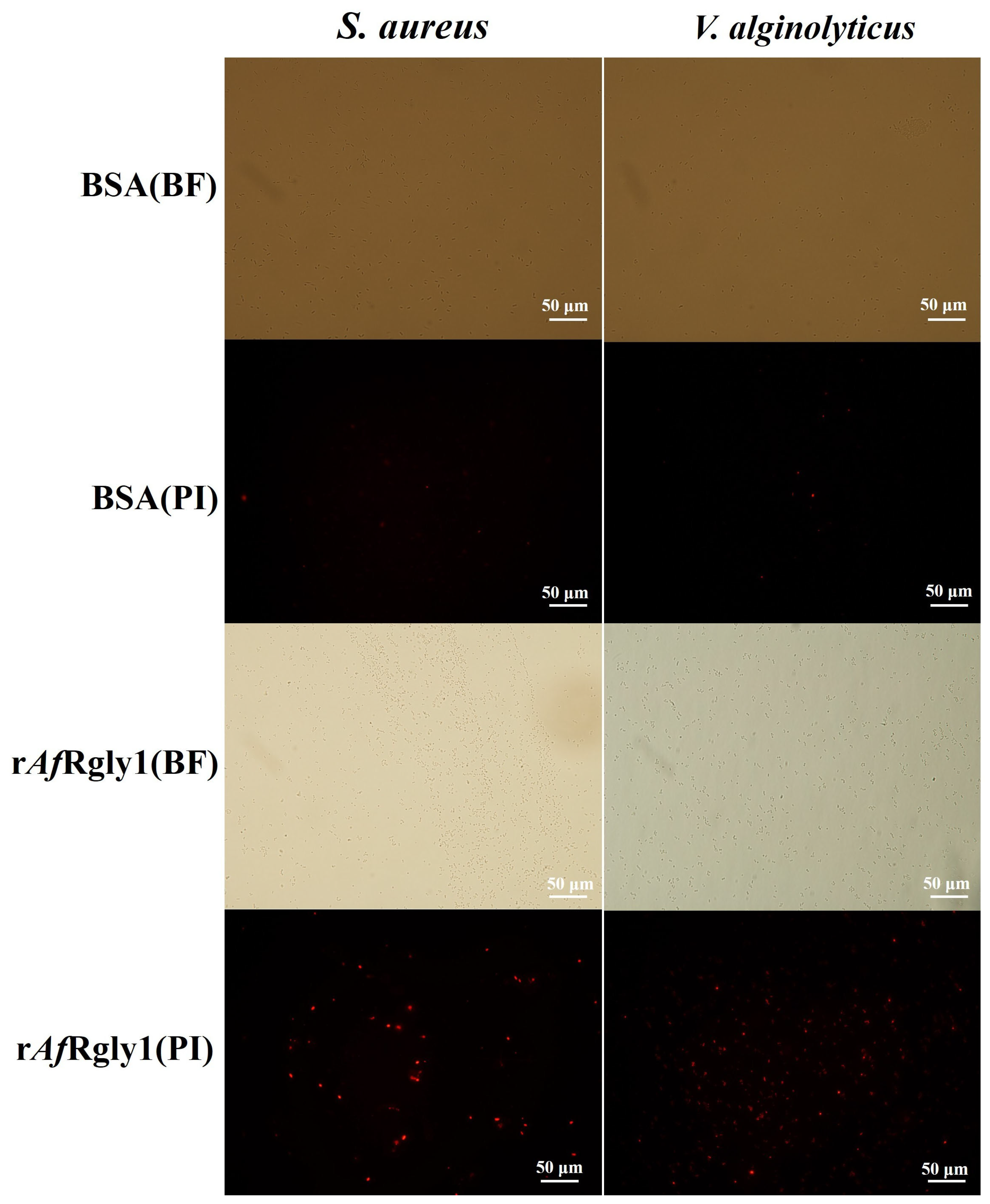 Marinedrugs 23 00330 g006