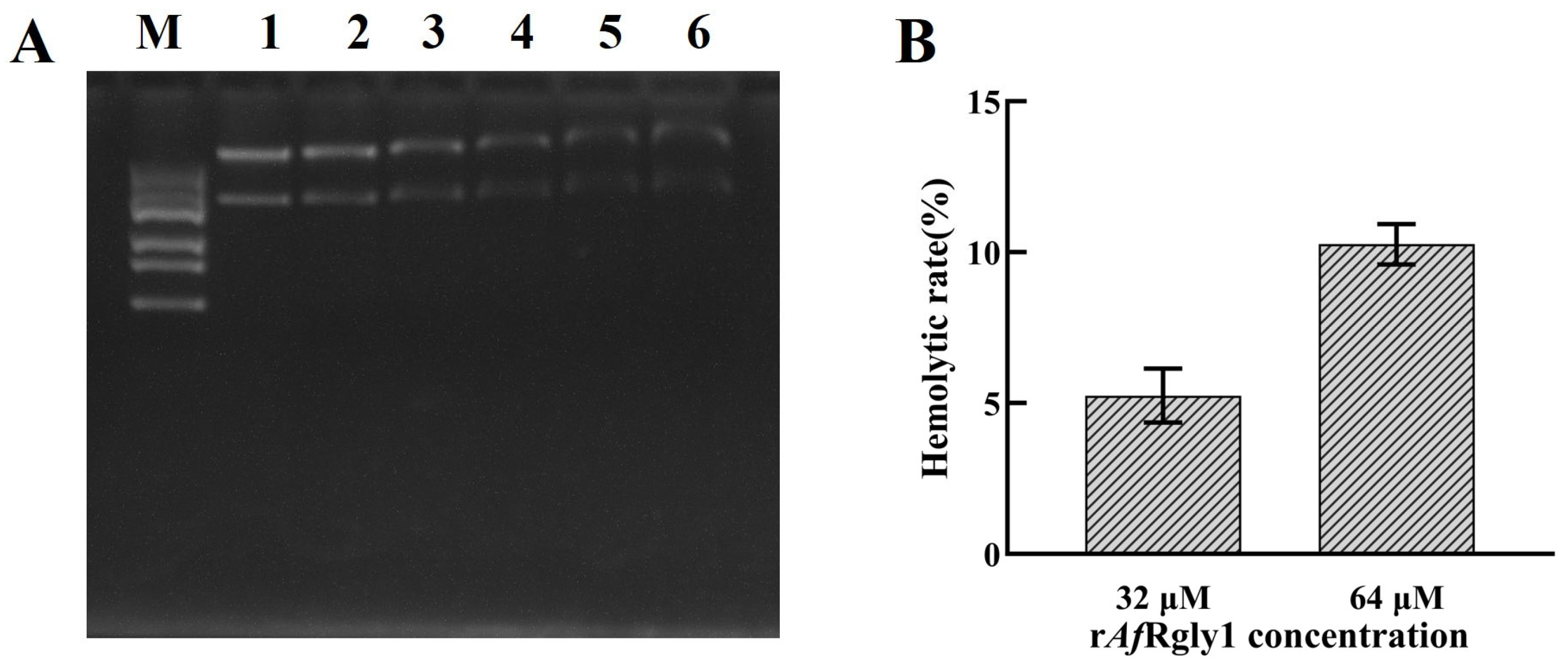 Marinedrugs 23 00330 g008