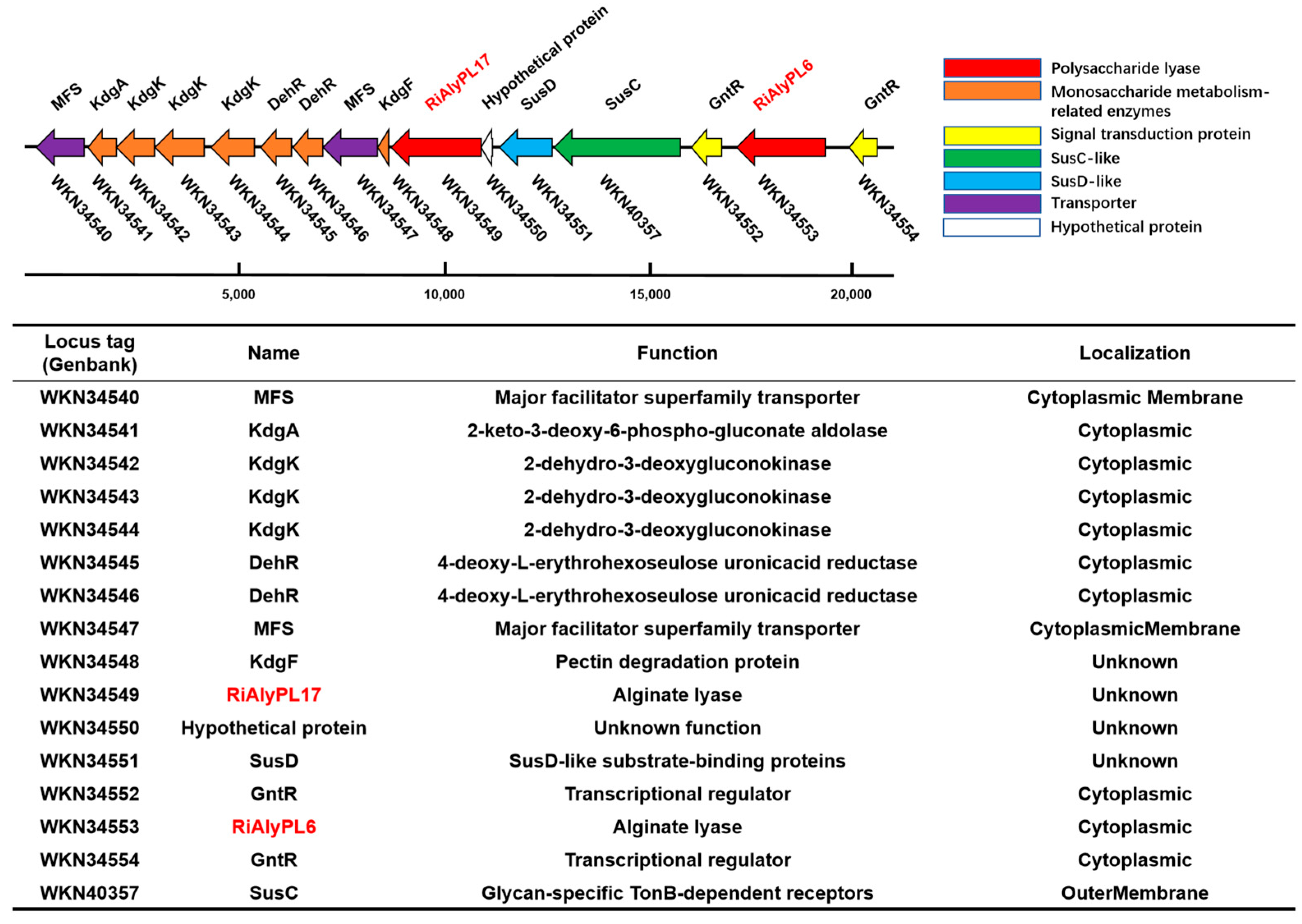 Marinedrugs 23 00334 g002 Marinedrugs 23 00334 g002