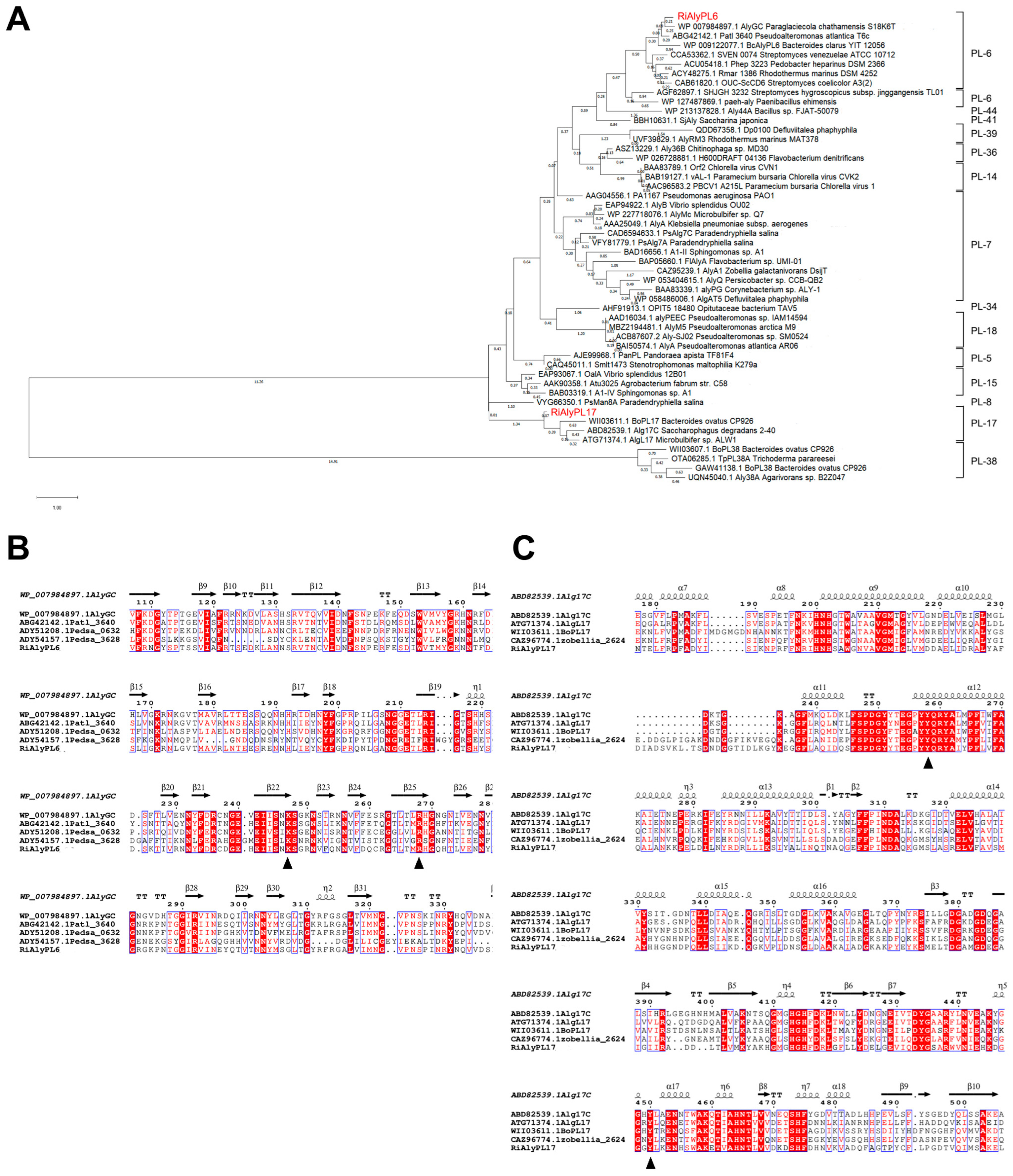 Marinedrugs 23 00334 g004 Marinedrugs 23 00334 g004