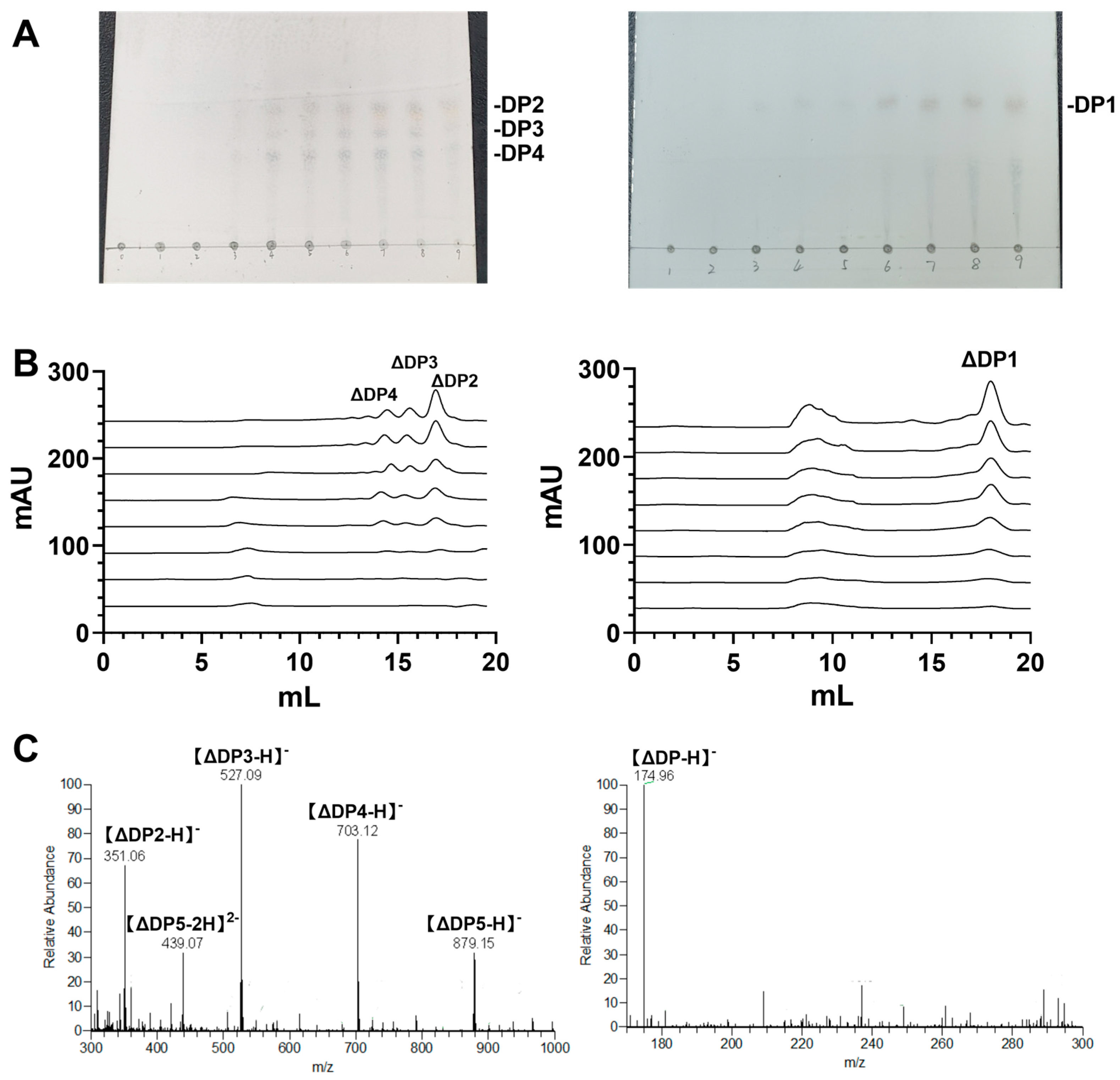 Marinedrugs 23 00334 g008 Marinedrugs 23 00334 g008