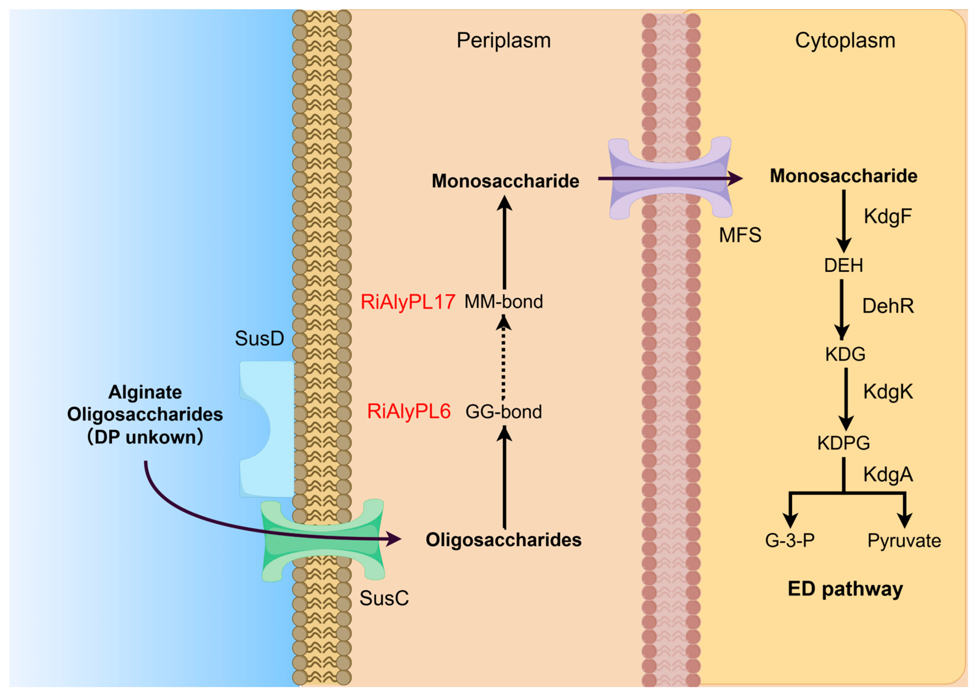 Marinedrugs 23 00334 g009 Marinedrugs 23 00334 g009