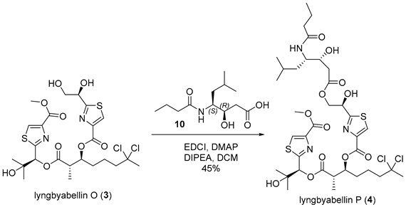 Marinedrugs 23 00340 i017