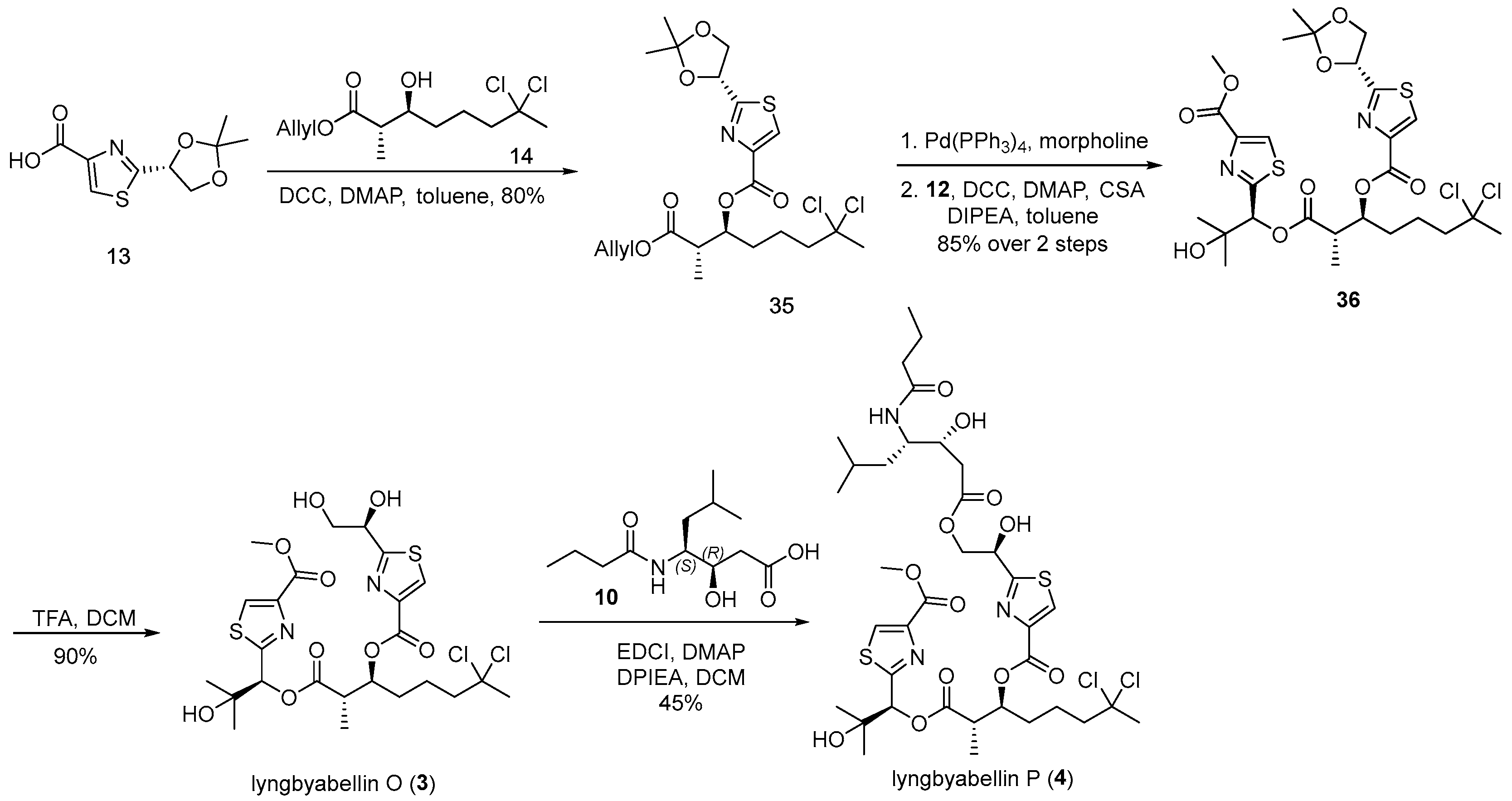 Marinedrugs 23 00340 sch006