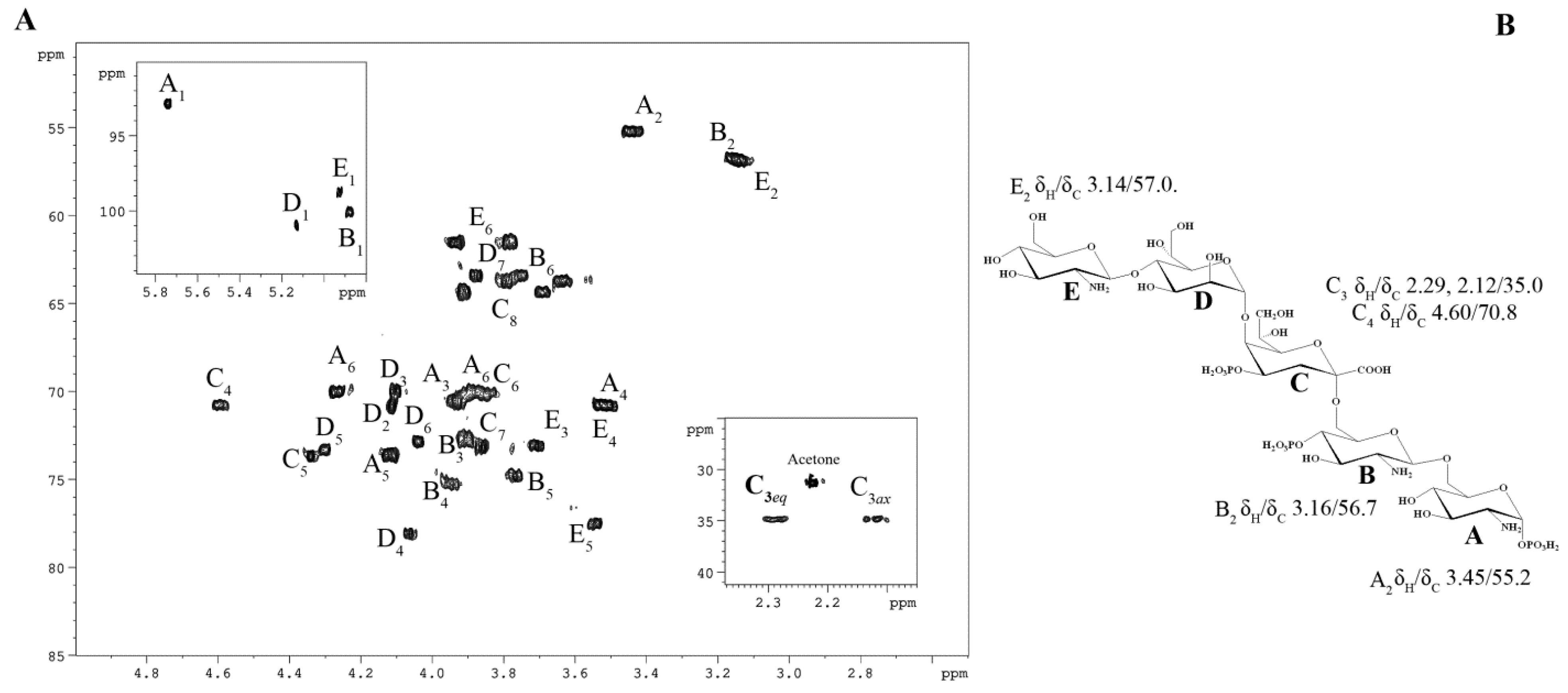 Marinedrugs 23 00345 g002 Marinedrugs 23 00345 g002