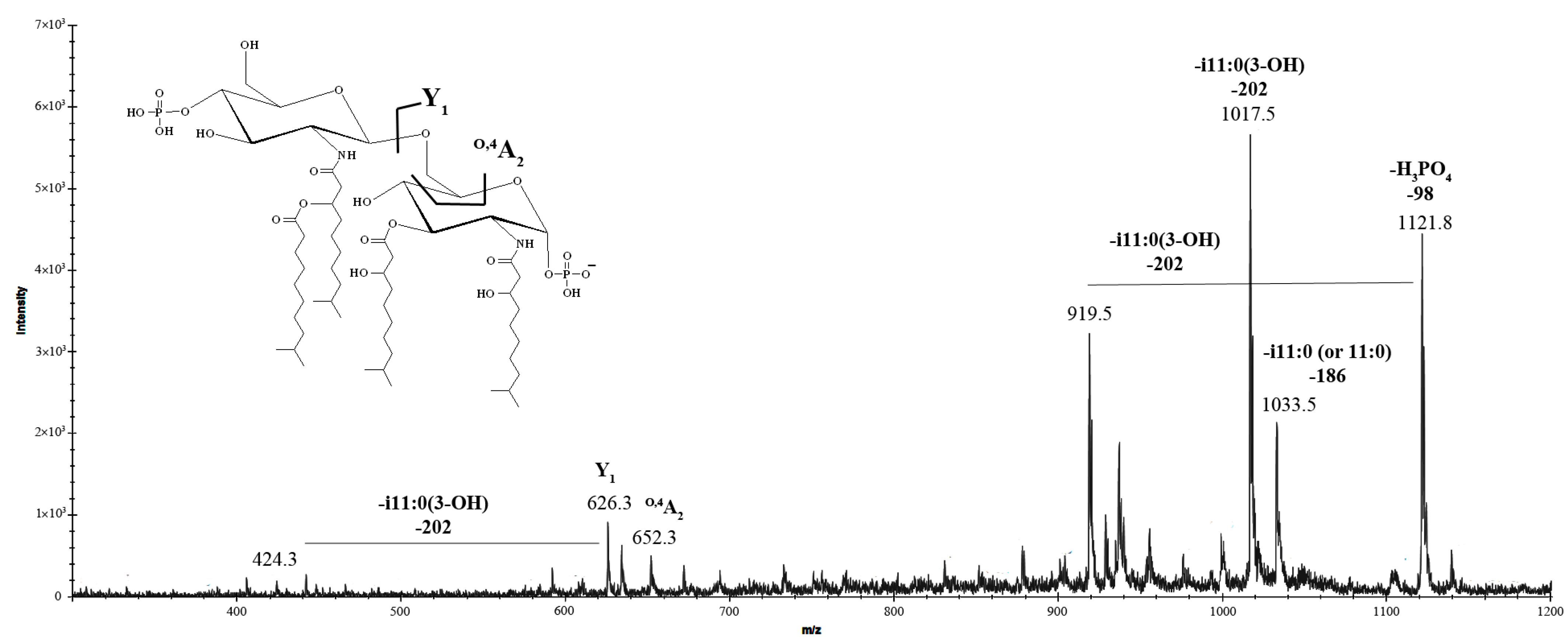 Marinedrugs 23 00345 g006 Marinedrugs 23 00345 g006
