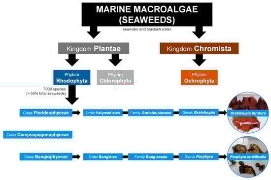 Marinedrugs 23 00347 g001