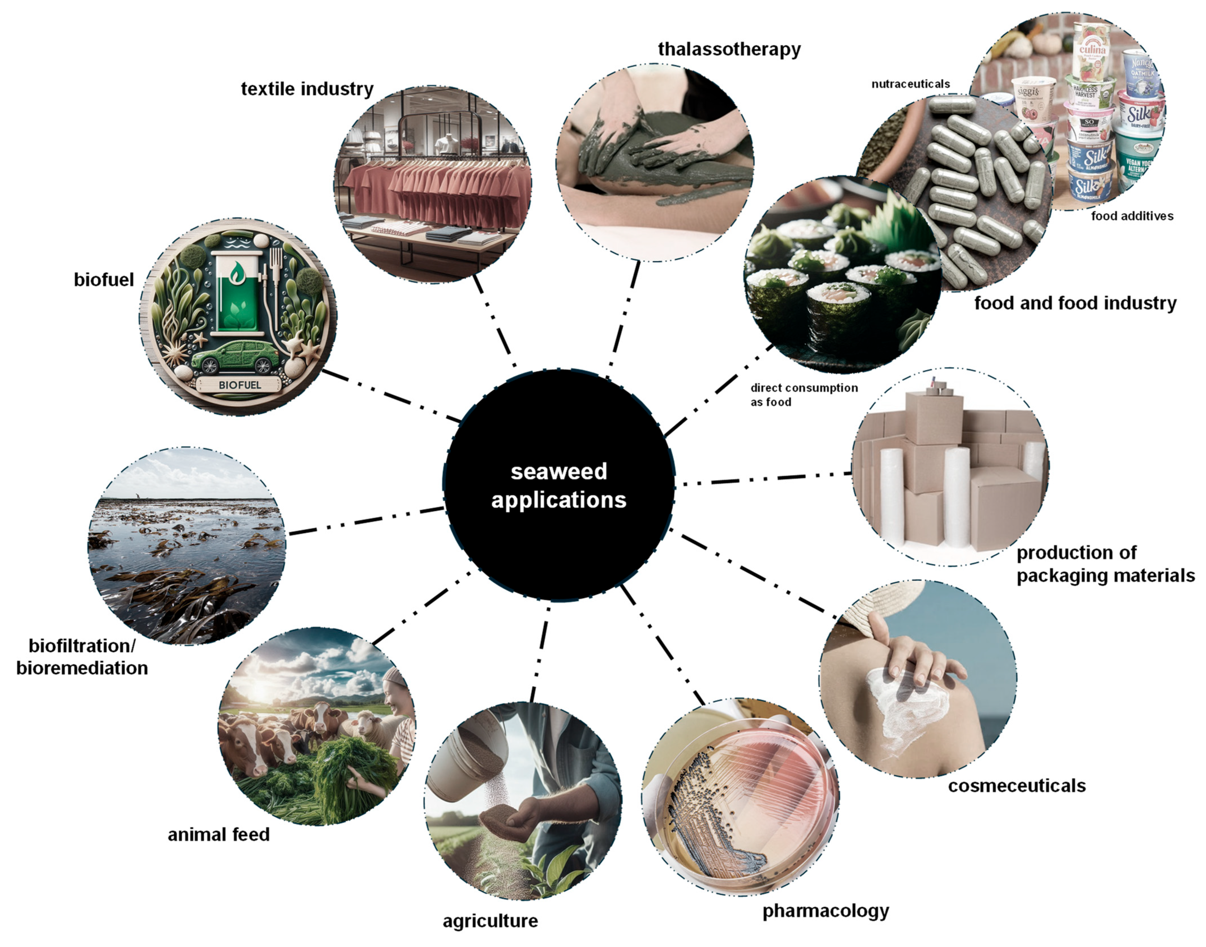 Marinedrugs 23 00347 g004 Marinedrugs 23 00347 g004