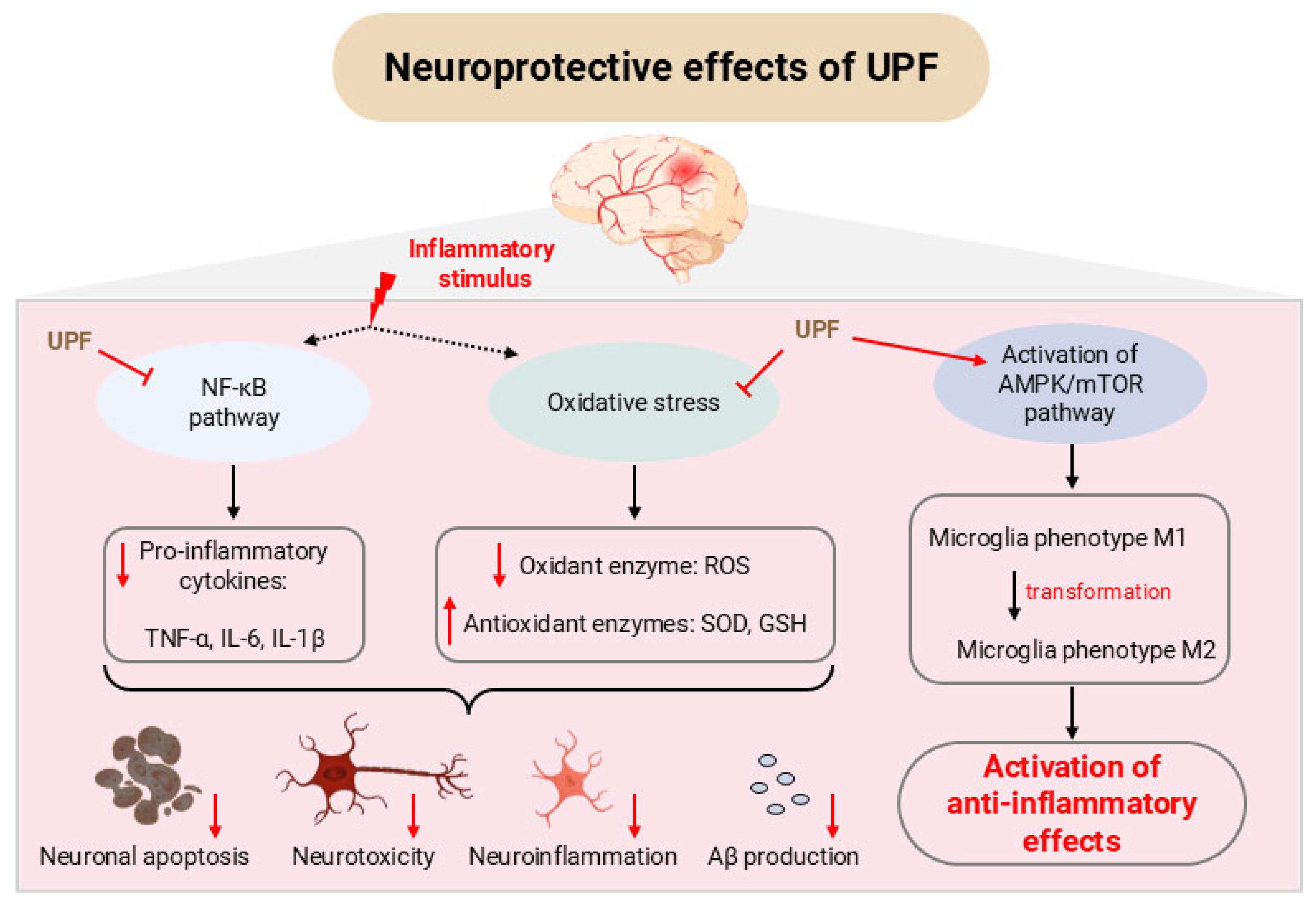 Marinedrugs 23 00350 g002