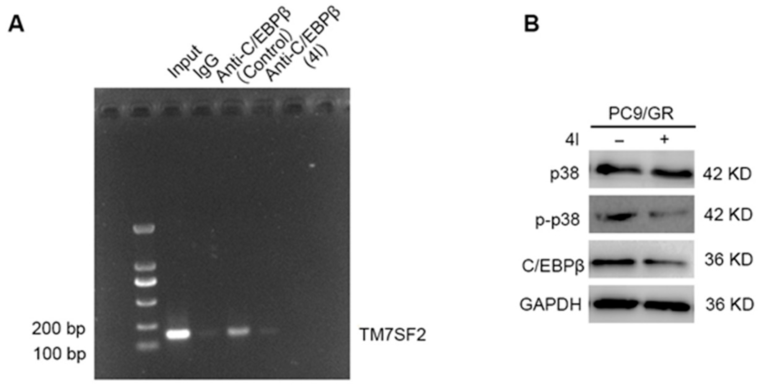 Marinedrugs 23 00357 g006