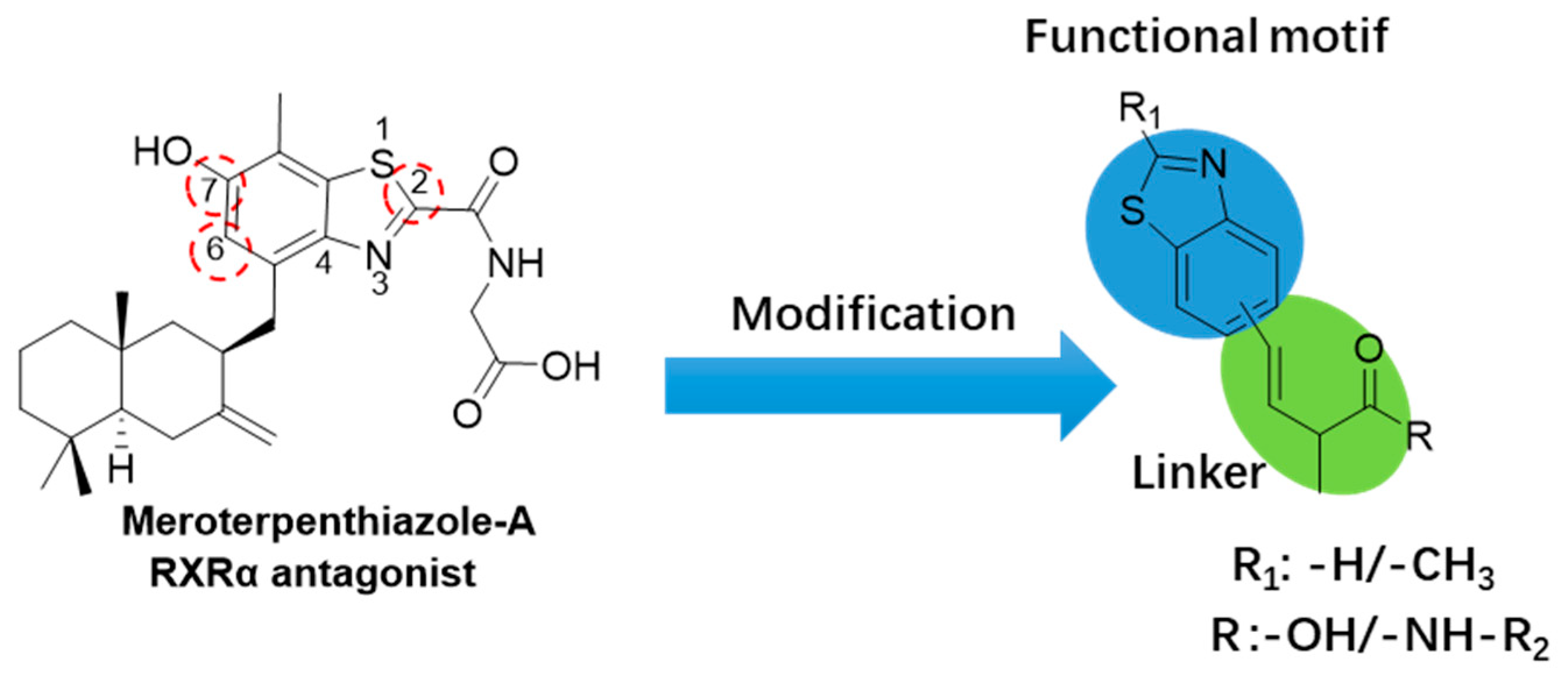 Marinedrugs 23 00368 g001