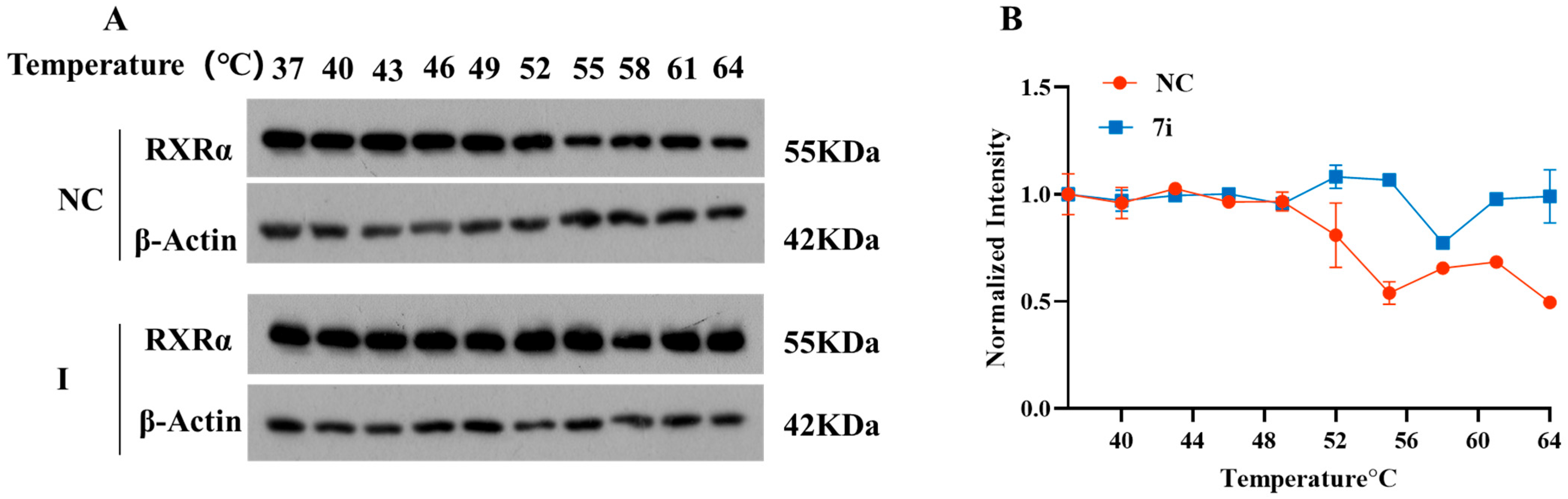 Marinedrugs 23 00368 g007