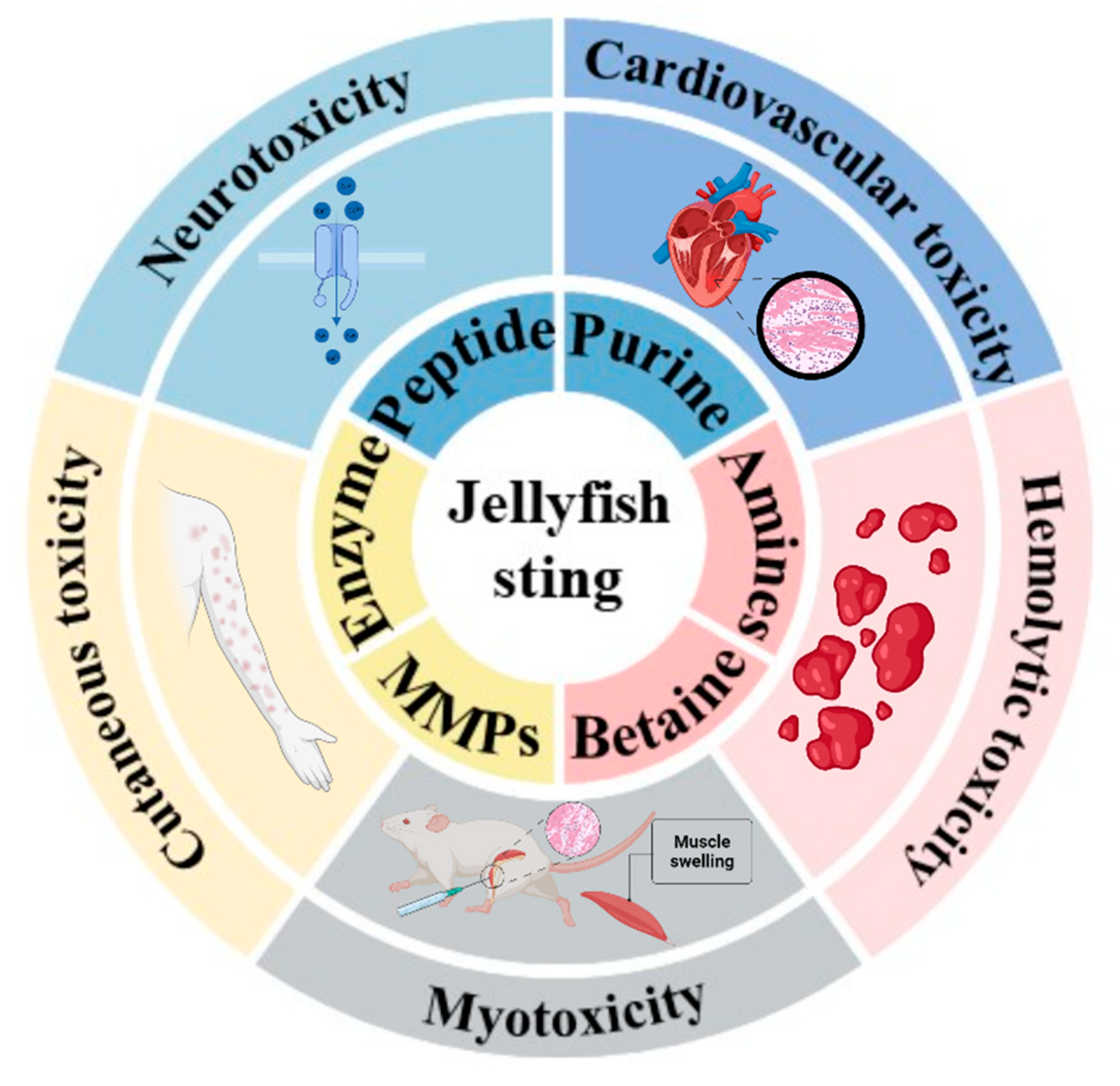 Marinedrugs 23 00369 g001