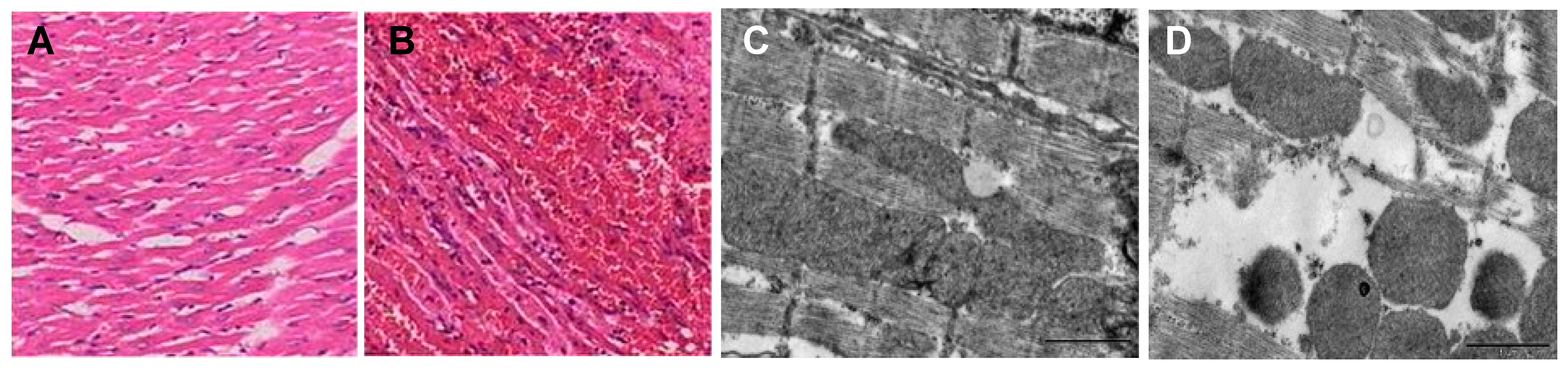 Marinedrugs 23 00369 g003