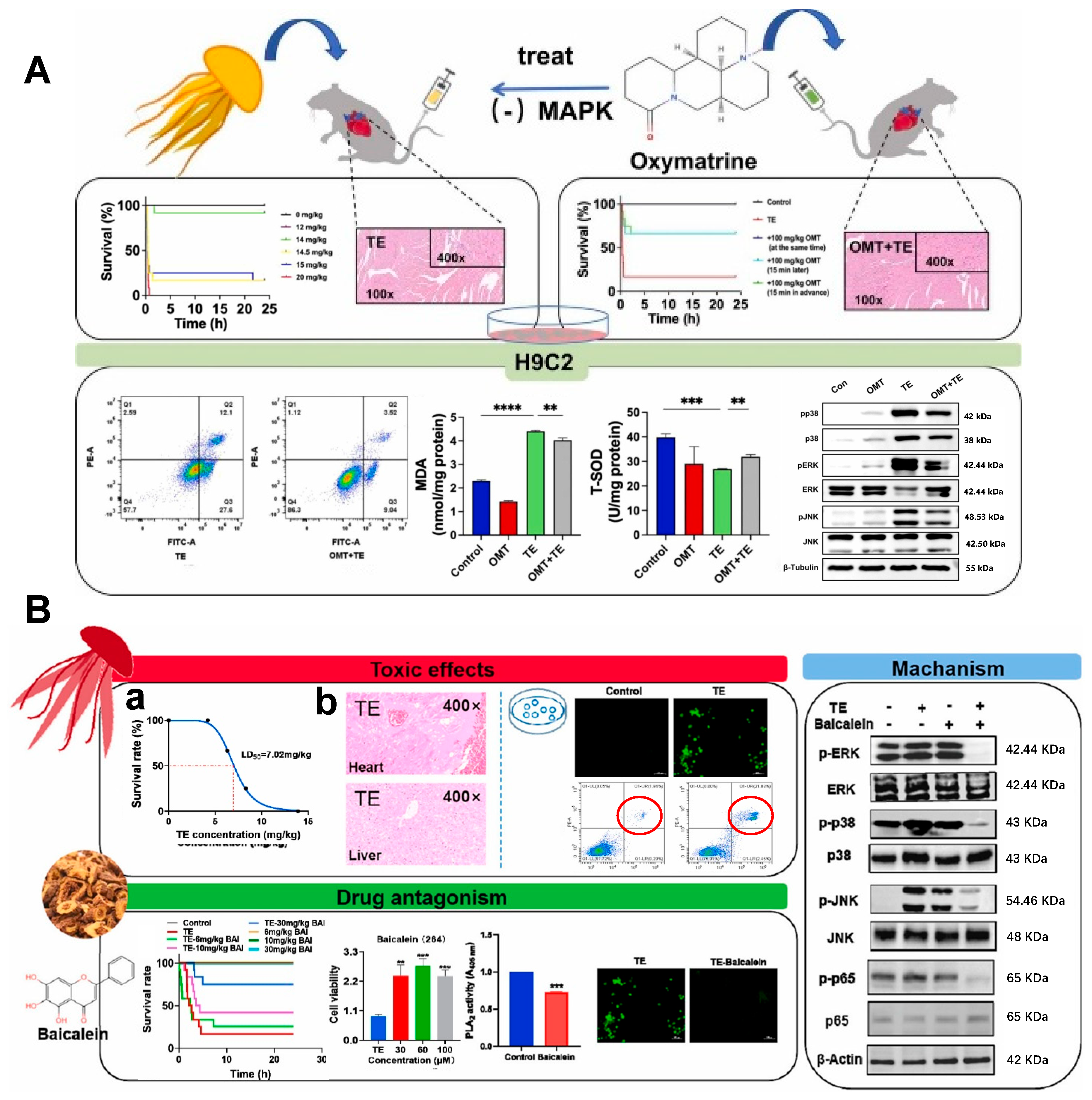 Marinedrugs 23 00369 g004