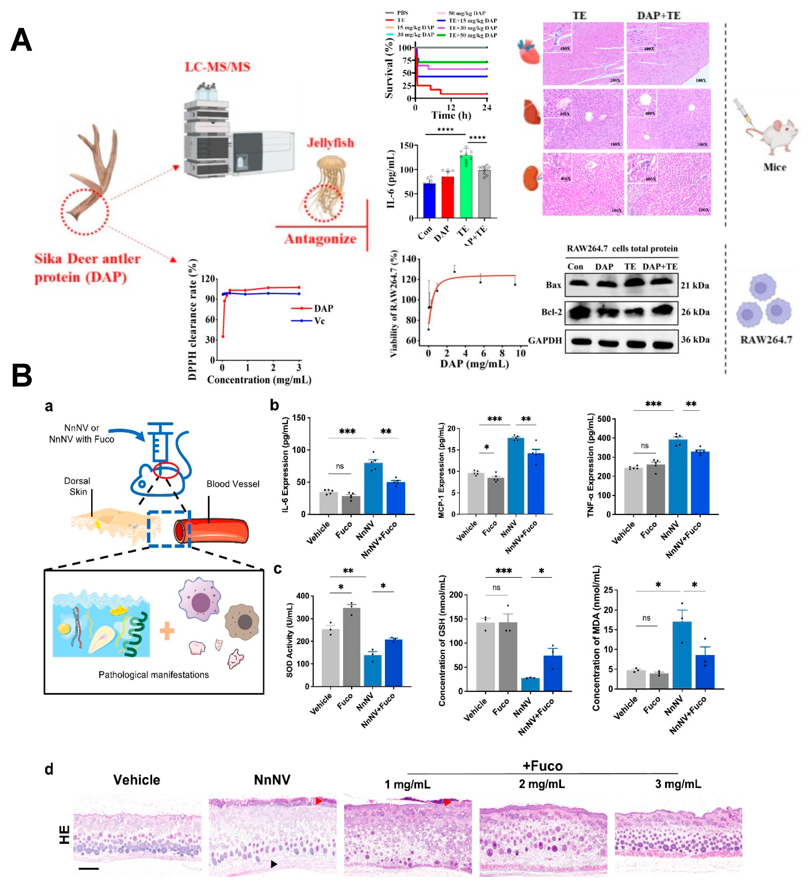 Marinedrugs 23 00369 g005