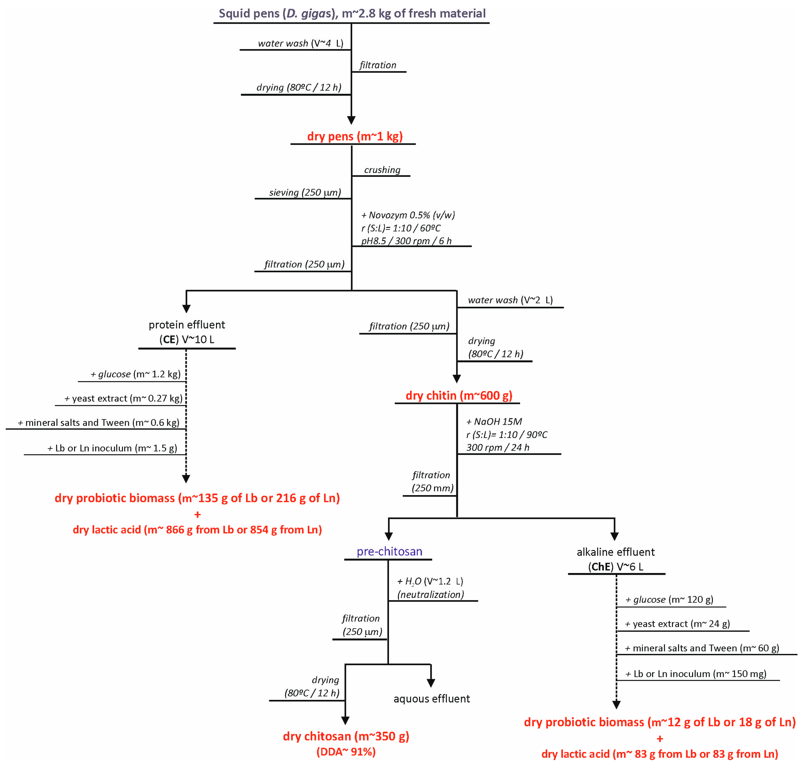 Marinedrugs 23 00382 g005 Marinedrugs 23 00382 g005