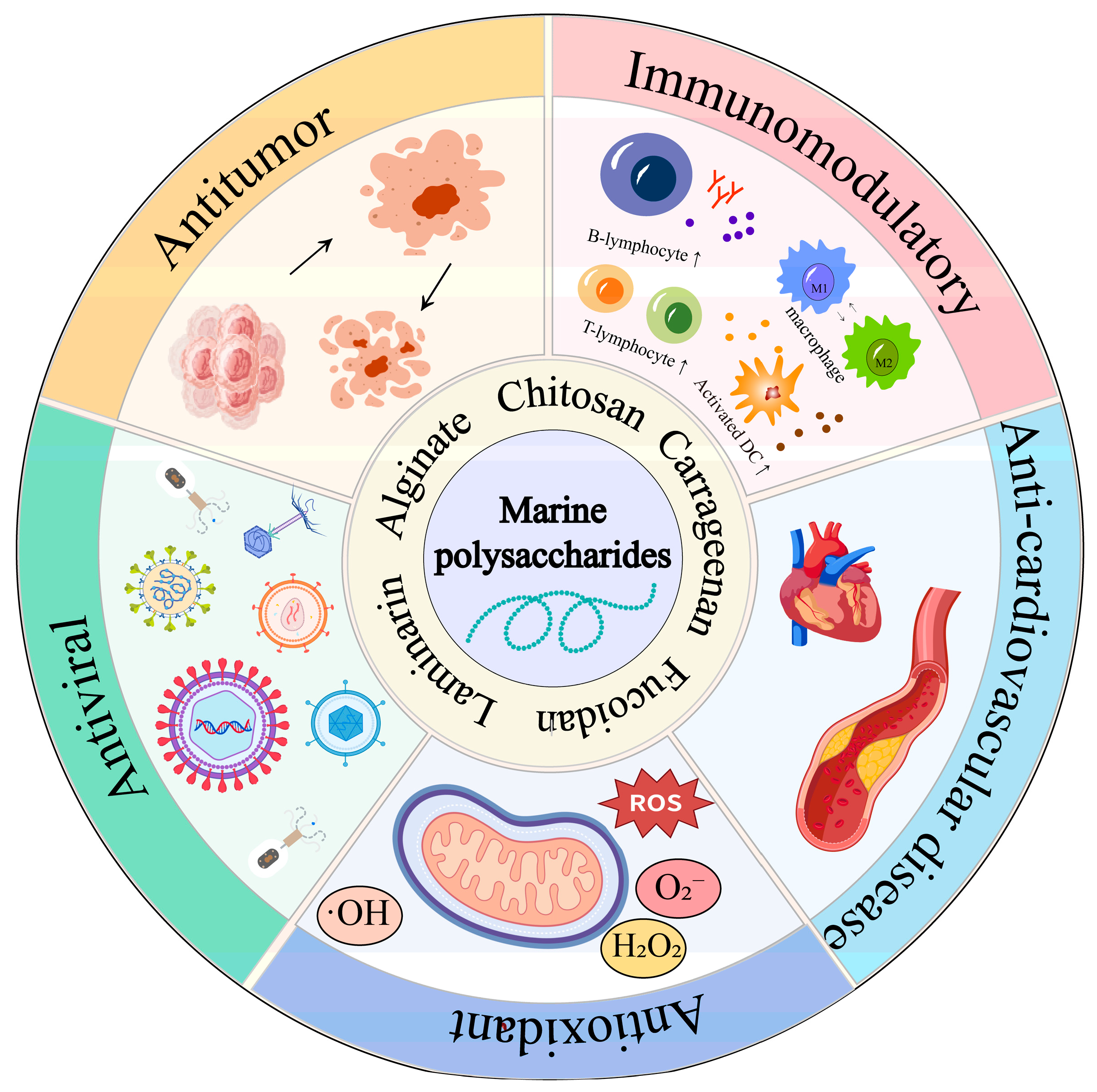 Marinedrugs 23 00384 g001