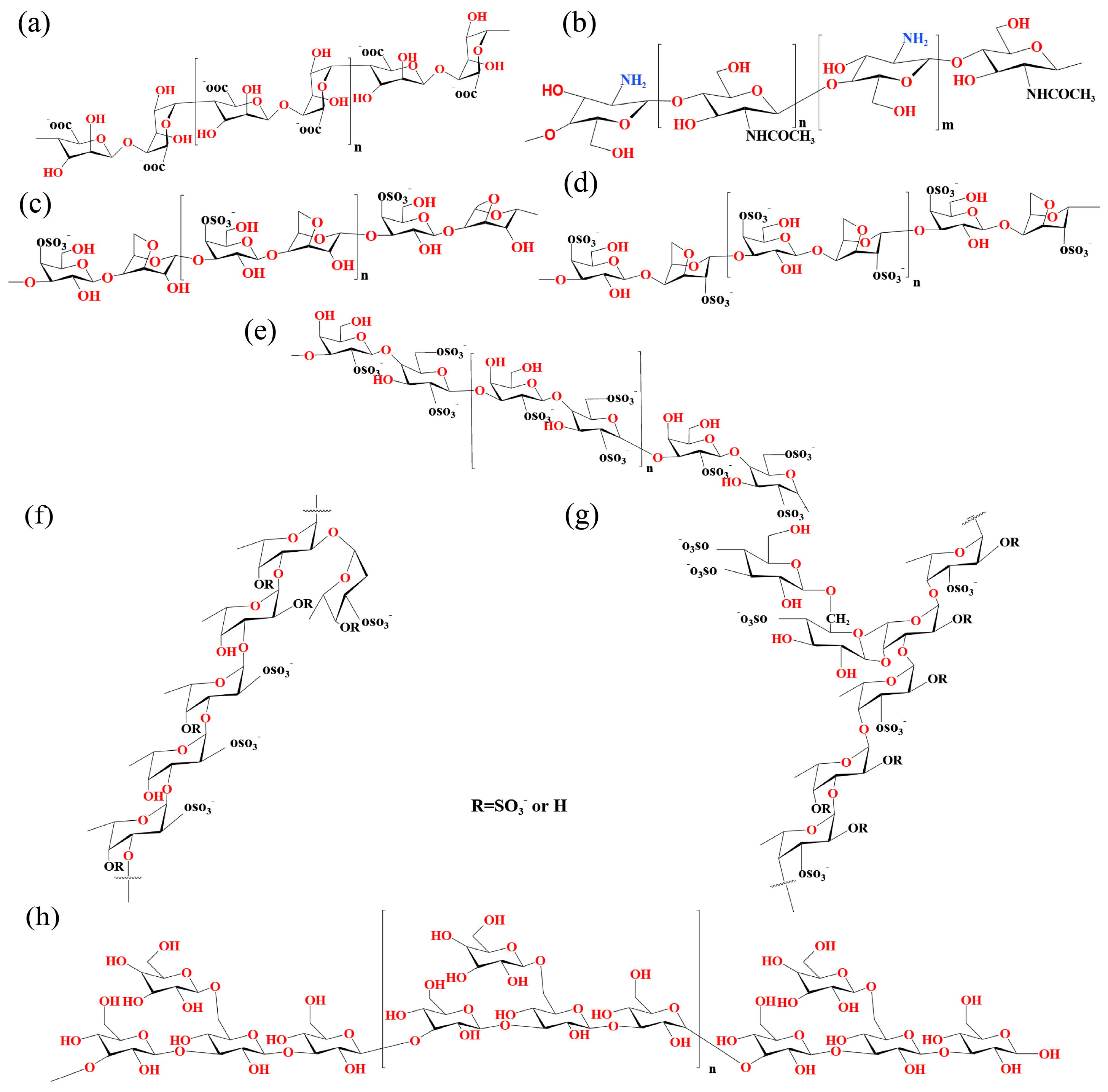 Marinedrugs 23 00384 g002
