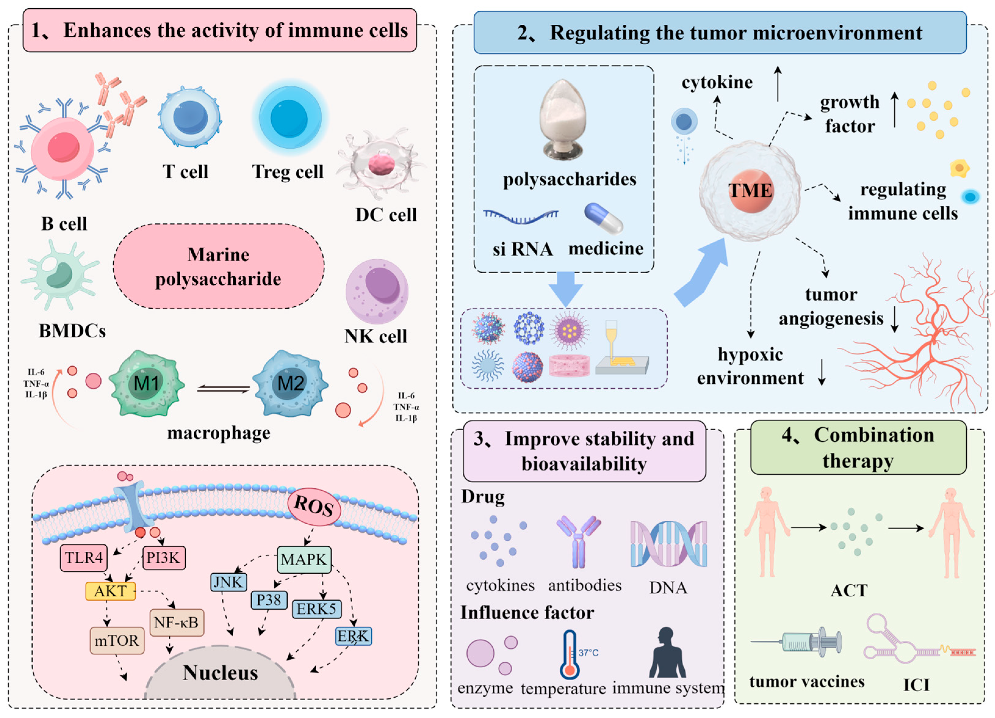 Marinedrugs 23 00384 g003