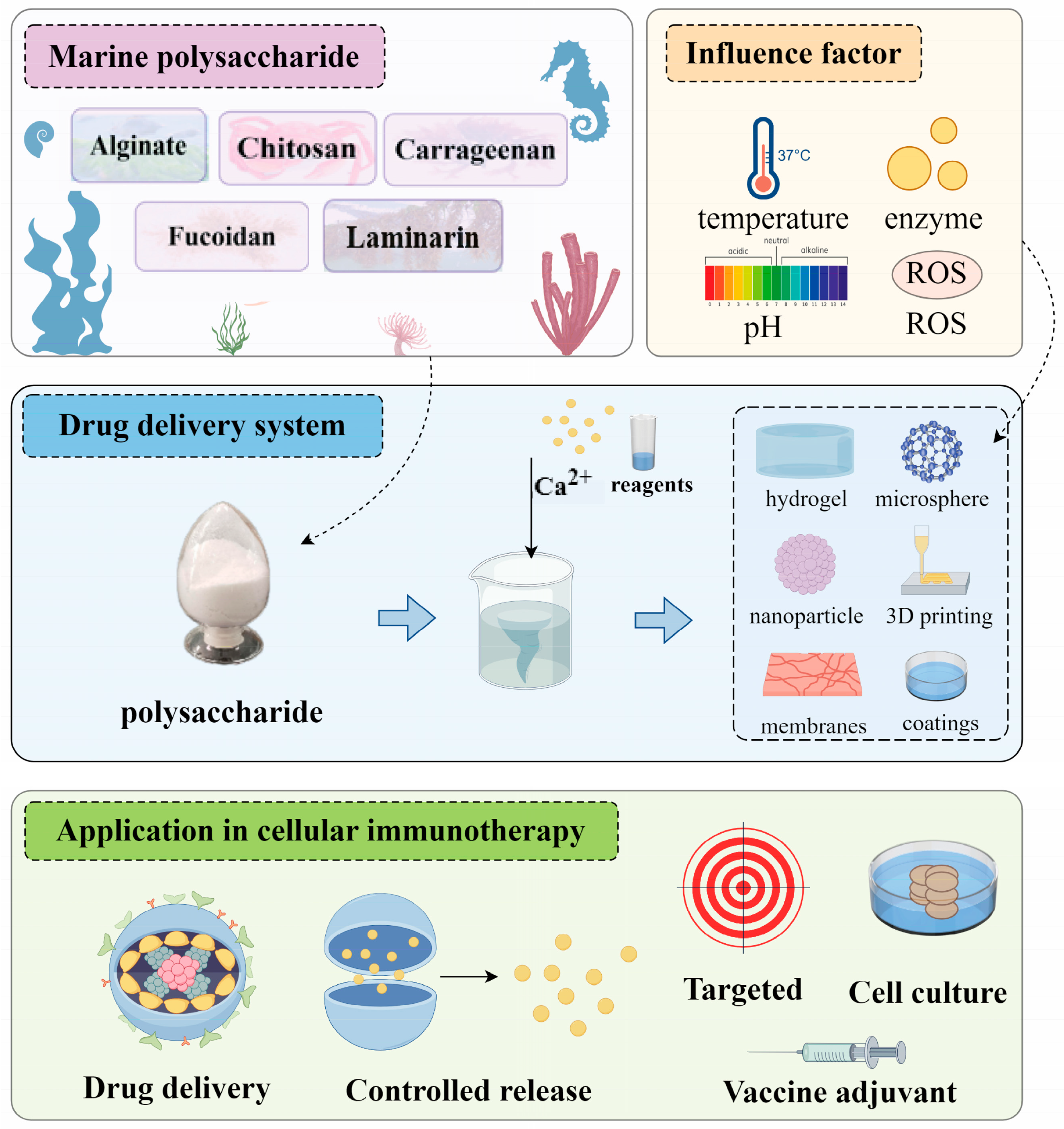 Marinedrugs 23 00384 g004