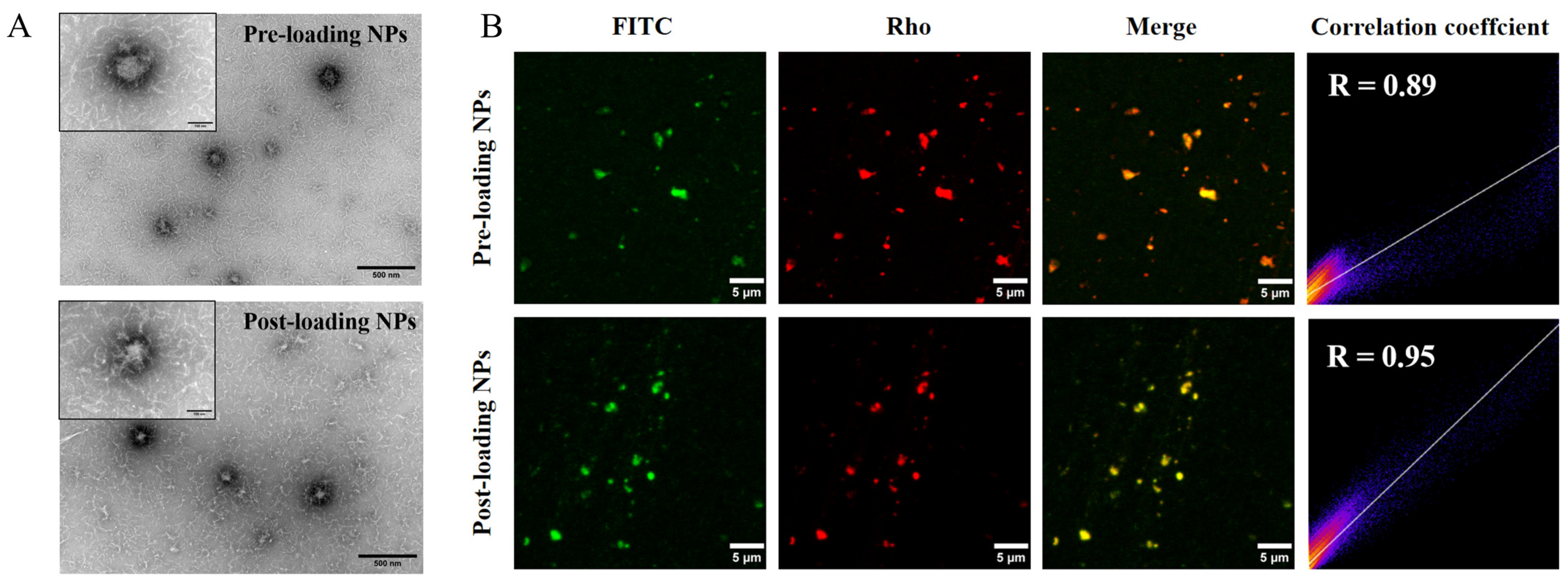 Marinedrugs 23 00385 g003