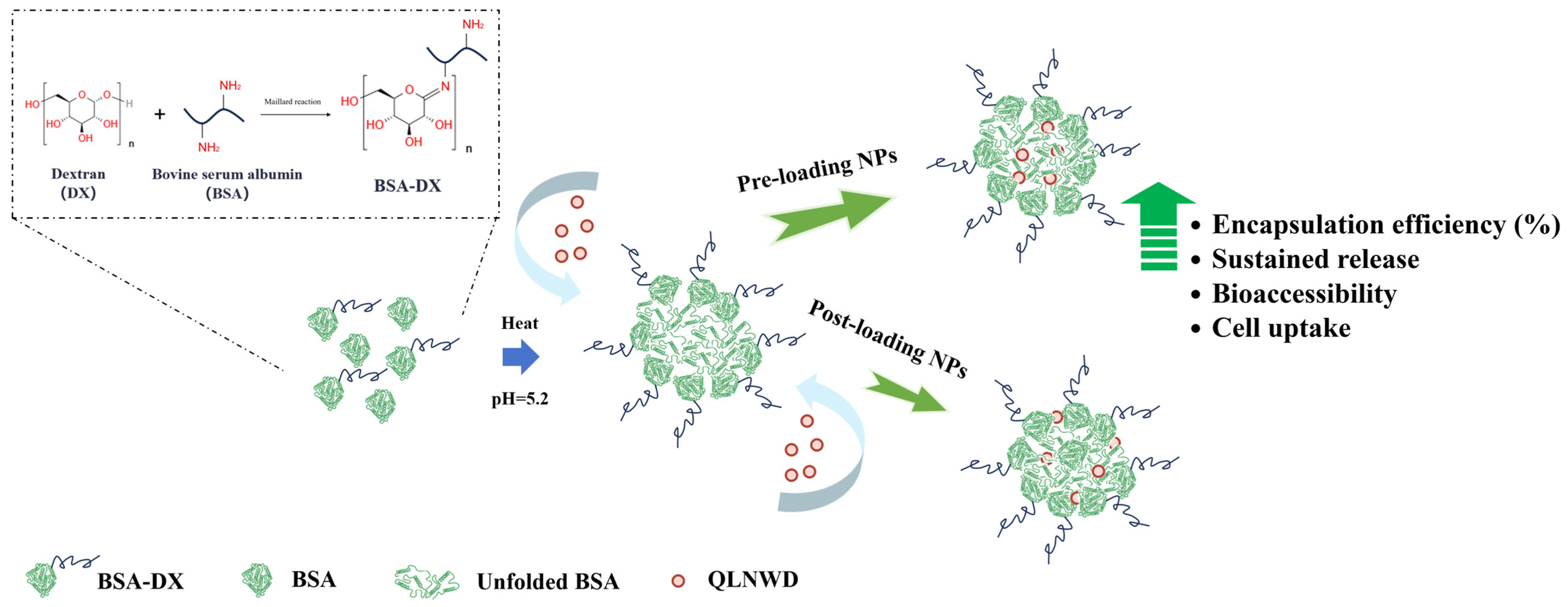 Marinedrugs 23 00385 g007