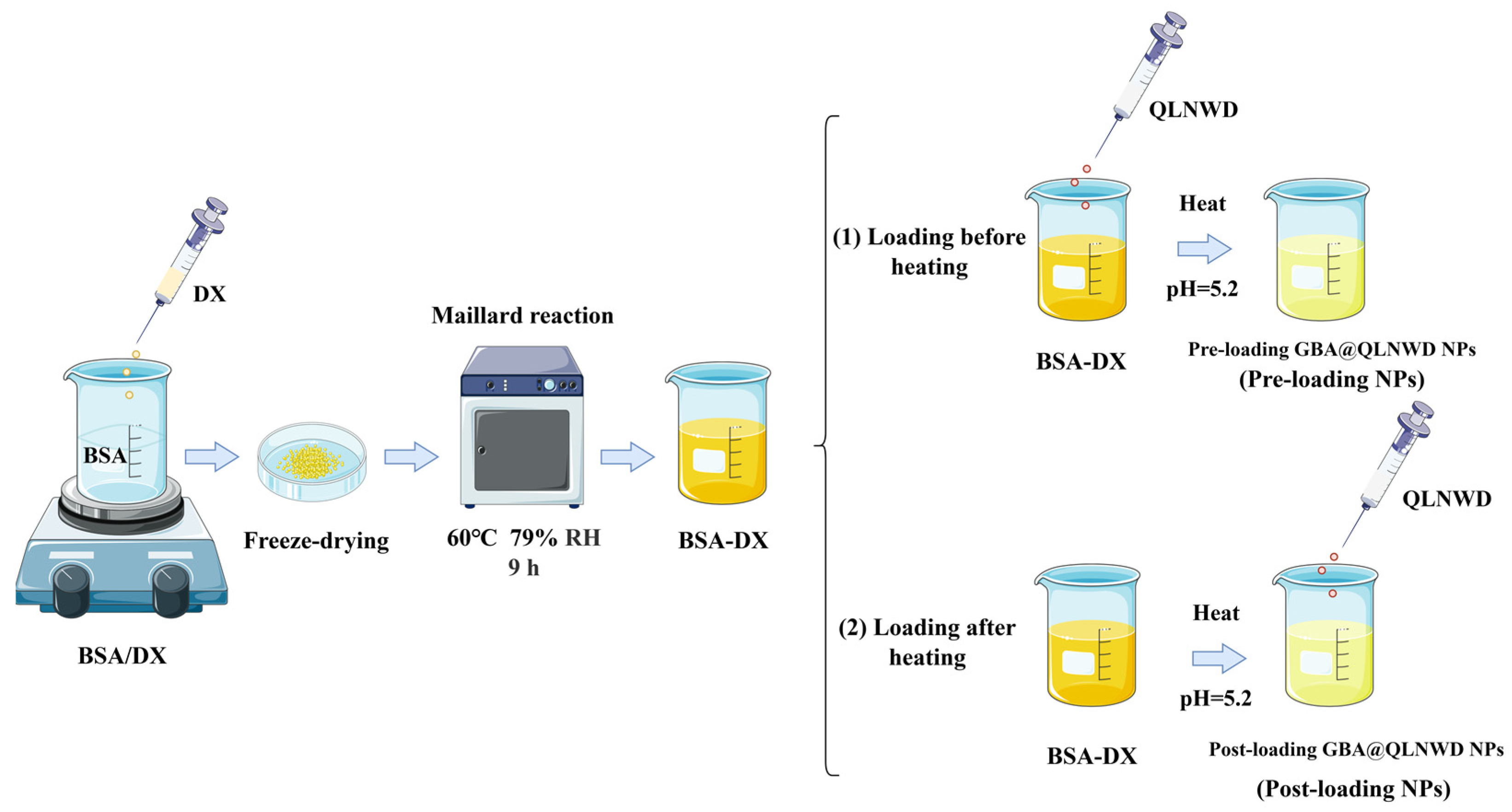 Marinedrugs 23 00385 g008