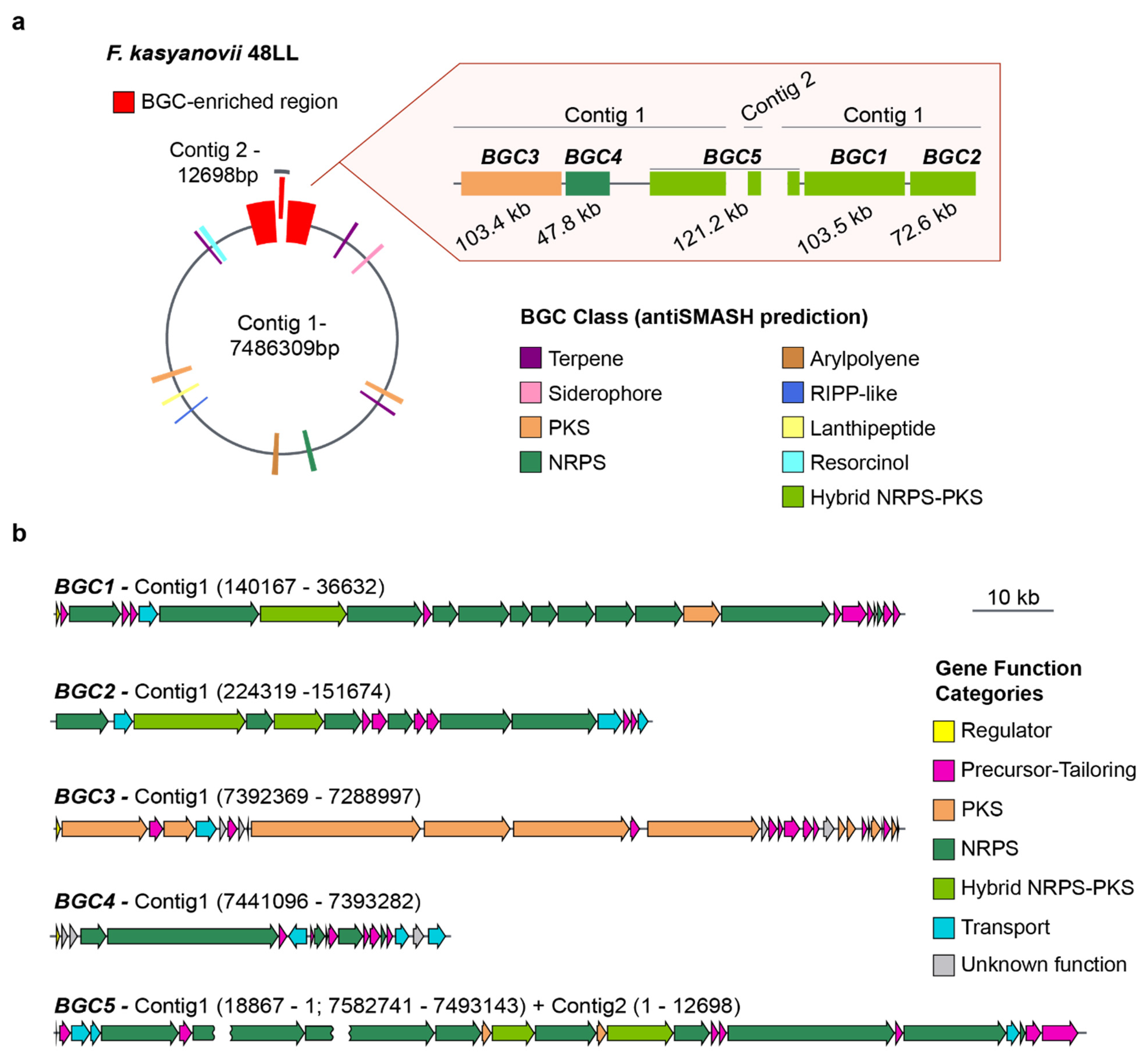 Marinedrugs 23 00394 g003
