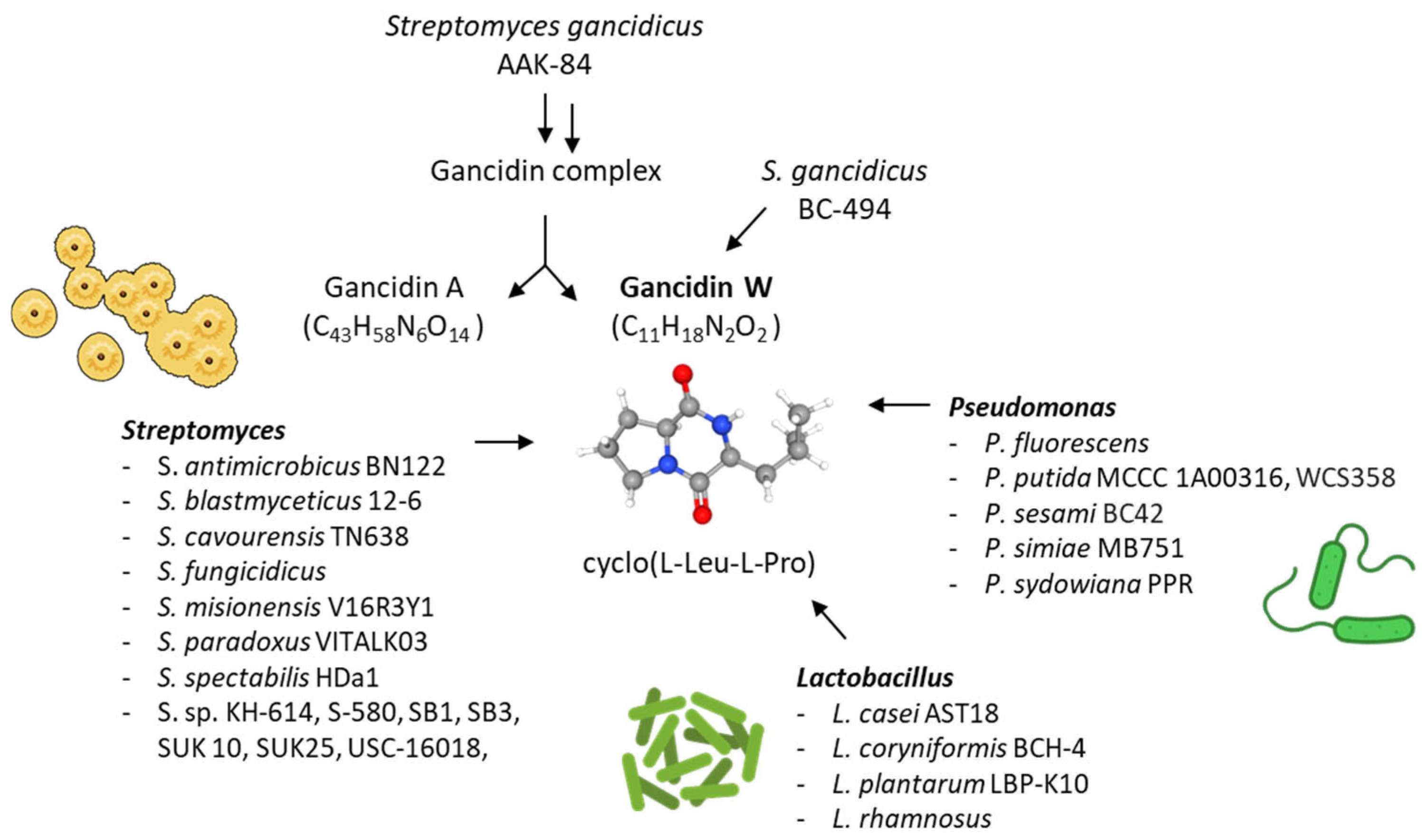 Marinedrugs 23 00397 g003 Marinedrugs 23 00397 g003