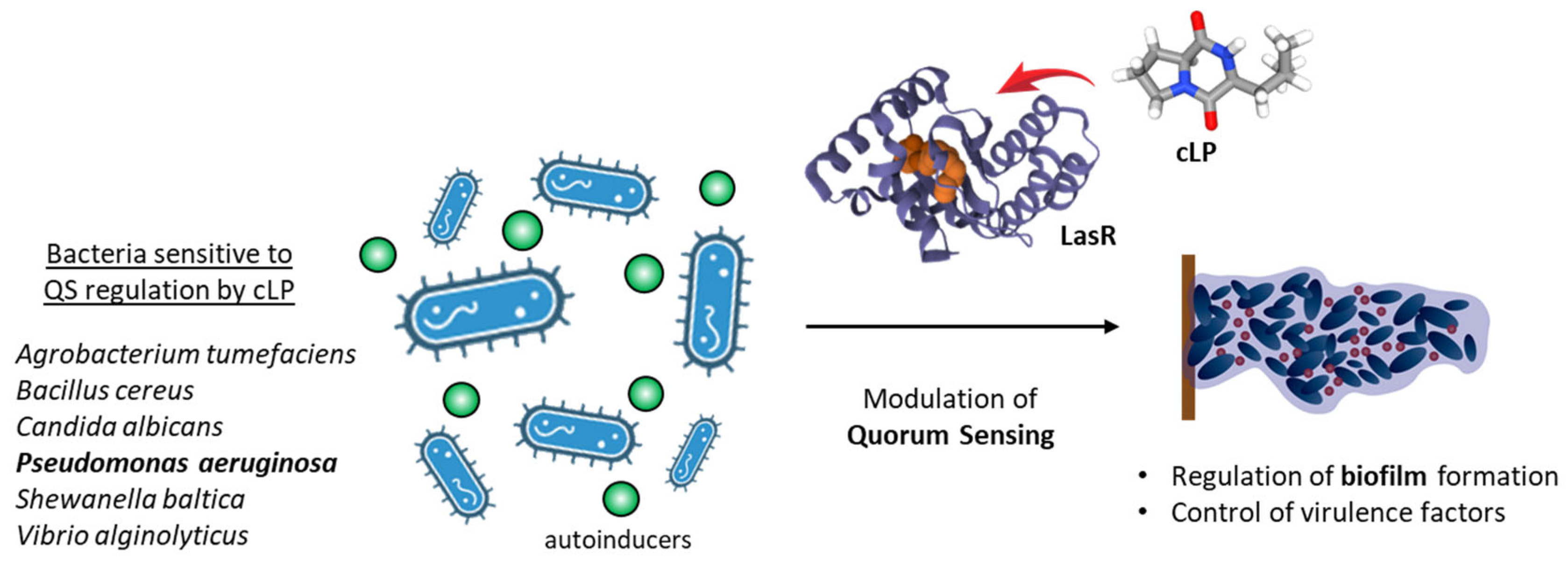 Marinedrugs 23 00397 g004 Marinedrugs 23 00397 g004