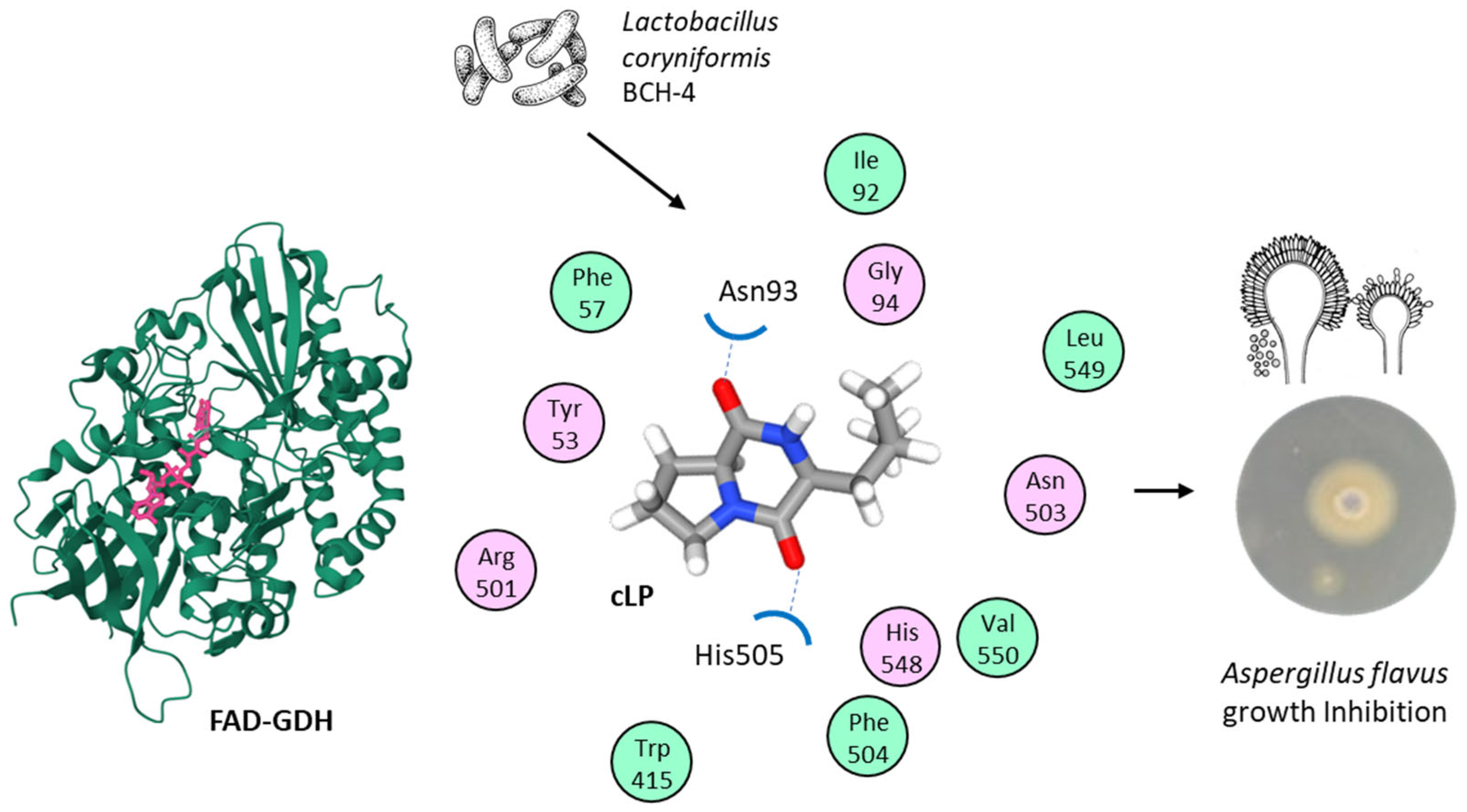 Marinedrugs 23 00397 g005 Marinedrugs 23 00397 g005