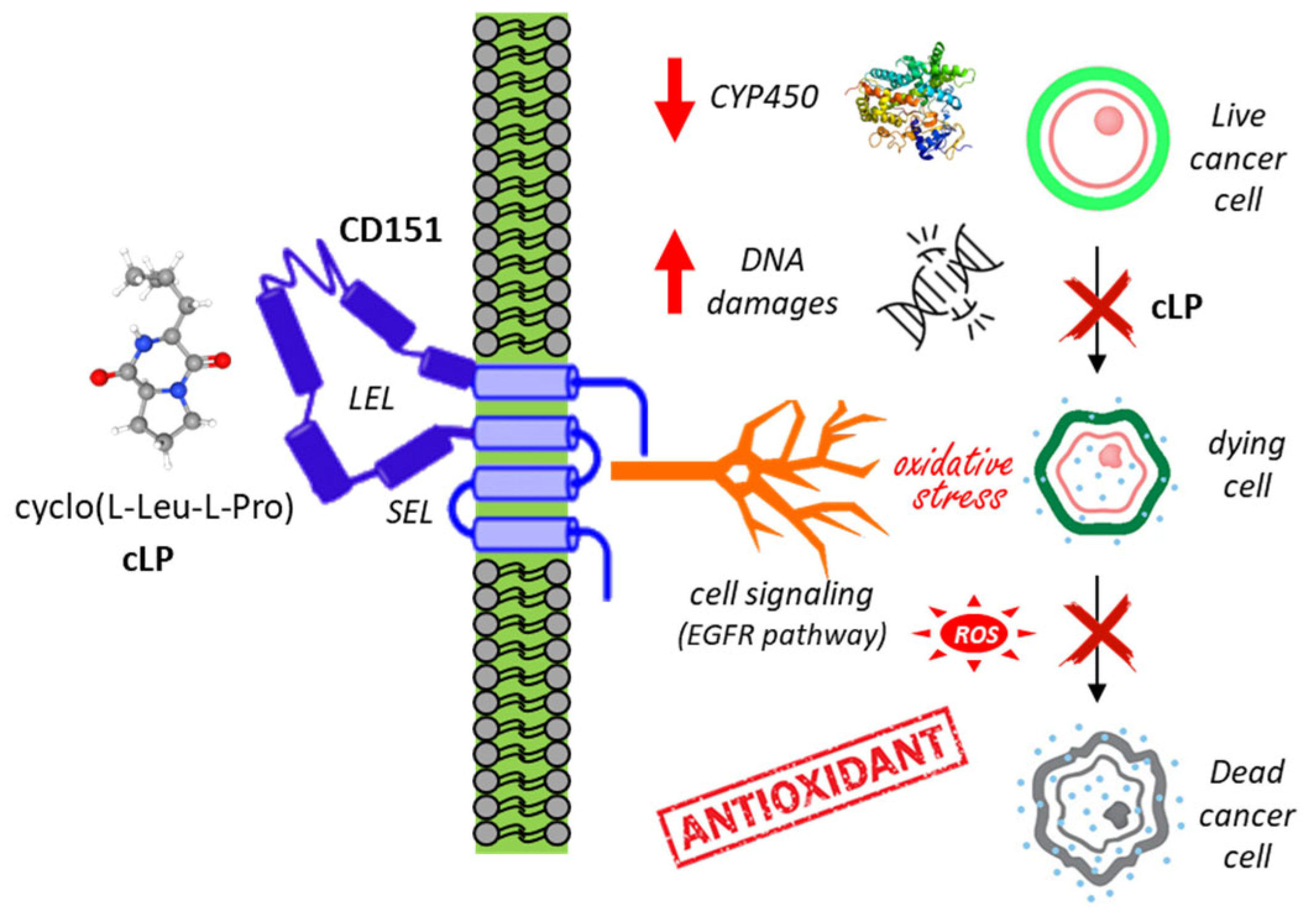 Marinedrugs 23 00397 g006 Marinedrugs 23 00397 g006