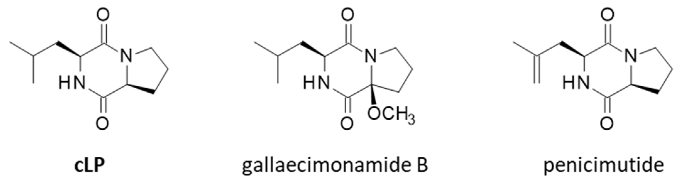 Marinedrugs 23 00397 g007 Marinedrugs 23 00397 g007