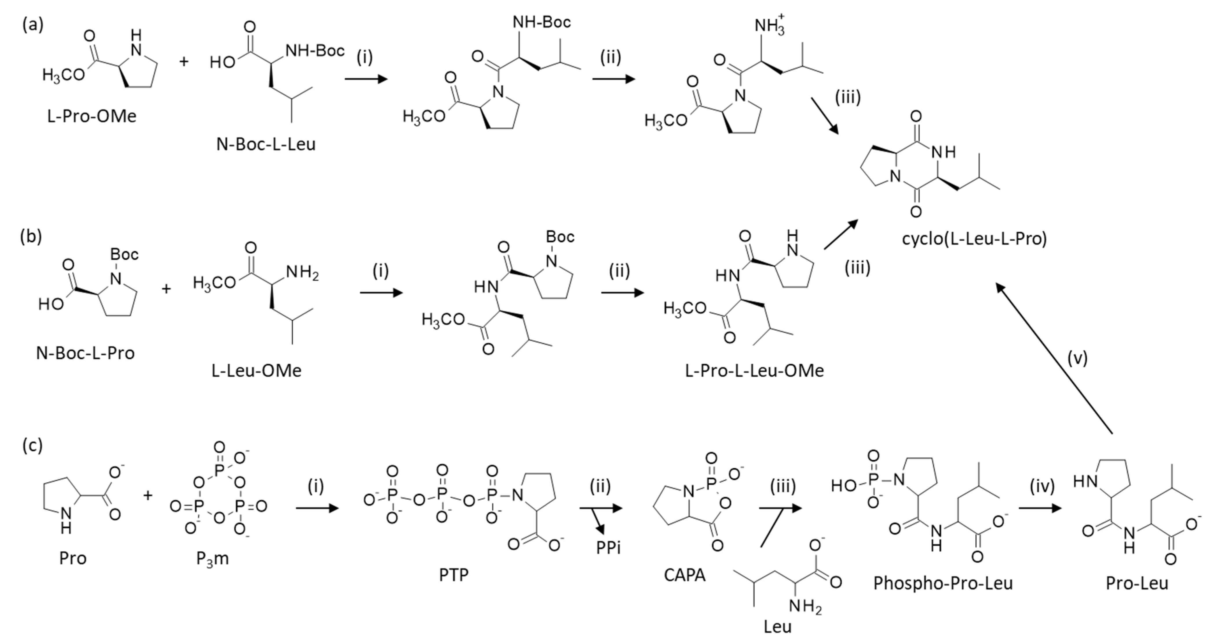 Marinedrugs 23 00397 sch001 Marinedrugs 23 00397 sch001