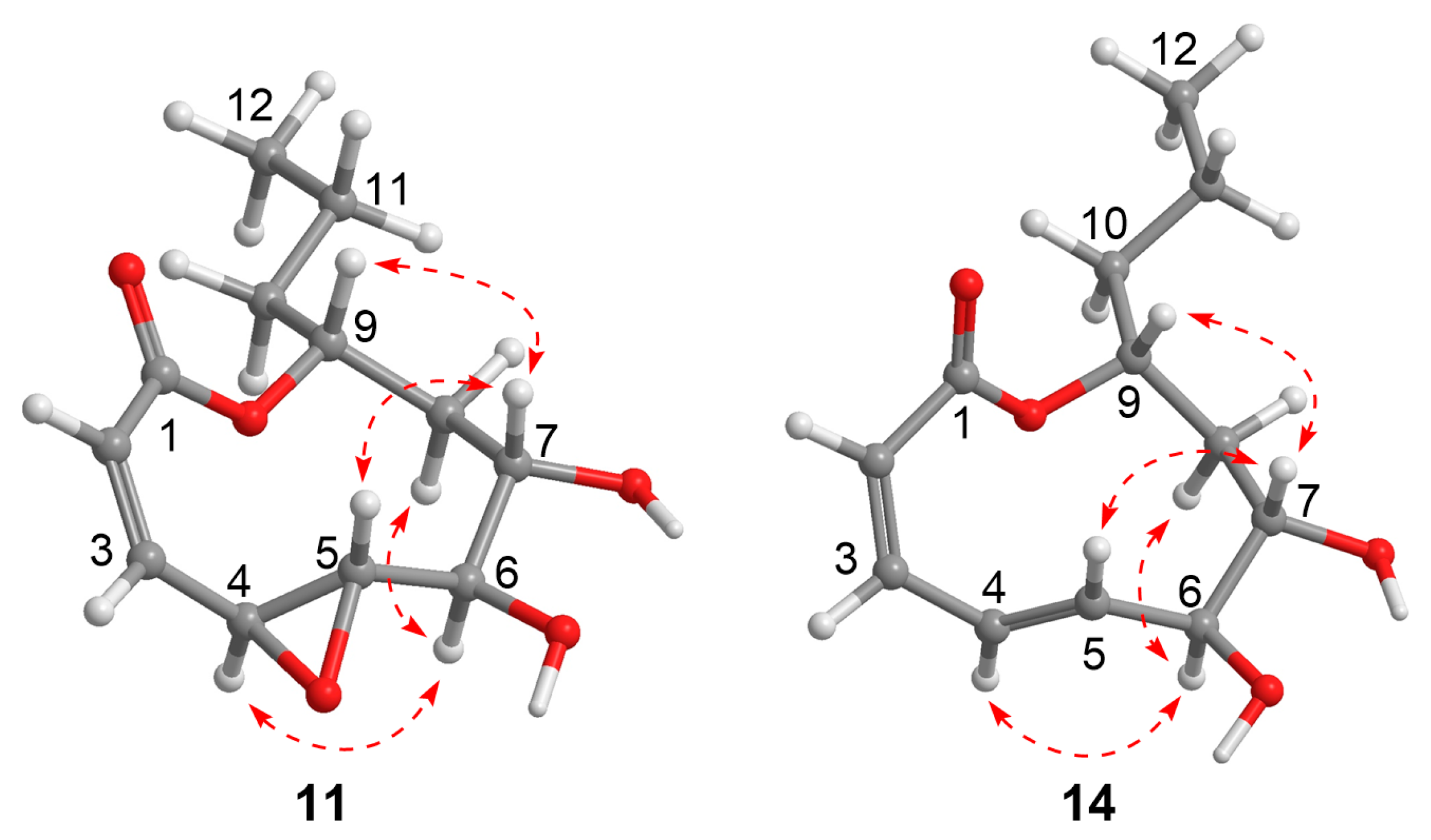 Marinedrugs 23 00402 g005