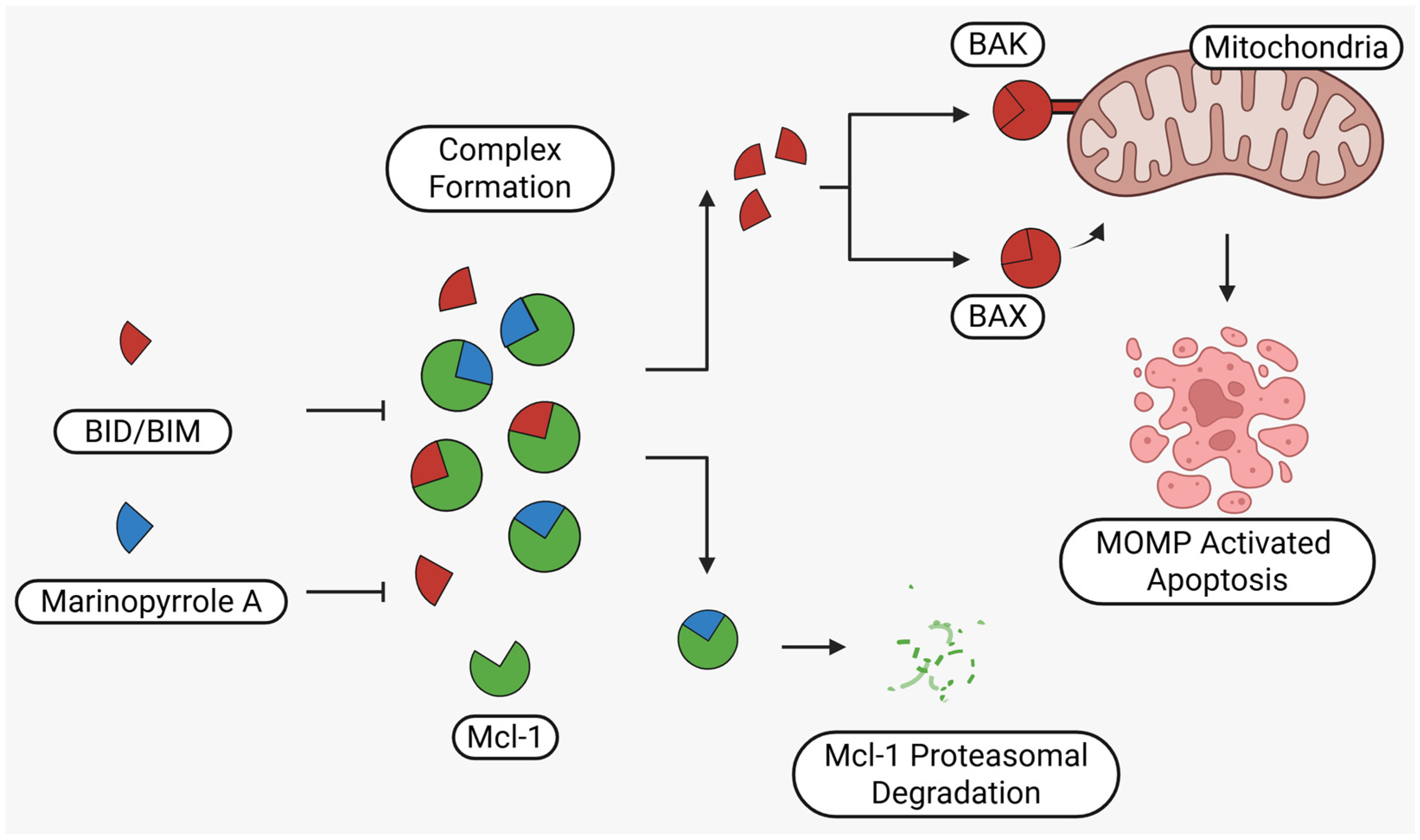 Marinedrugs 23 00403 g001